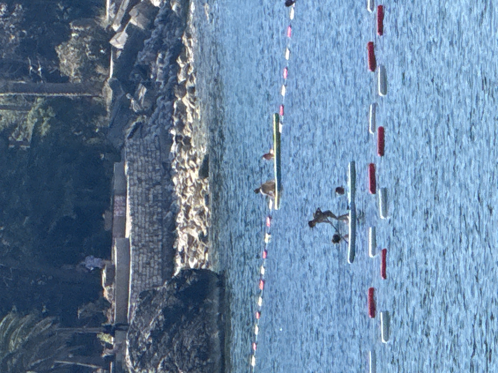 The image depicts a sunny day at Kamenovo, Montenegro, with a focus on a rocky shoreline transitioning into blue water. In the water, several individuals are engaged in activities related to kayaking and paddleboarding. One person is seated in a kayak, while another is on a paddleboard, both appearing to be recreational participants. A buoy line with alternating red and white markers stretches across the water, delineating a swimming or activity area. The background shows lush green trees and vegetation on the hillside, suggesting a warm climate. The lighting indicates it's likely midday, with bright sunlight casting shadows and highlighting the textures of the rocks and water. The overall scene conveys a sense of leisure and outdoor recreation.