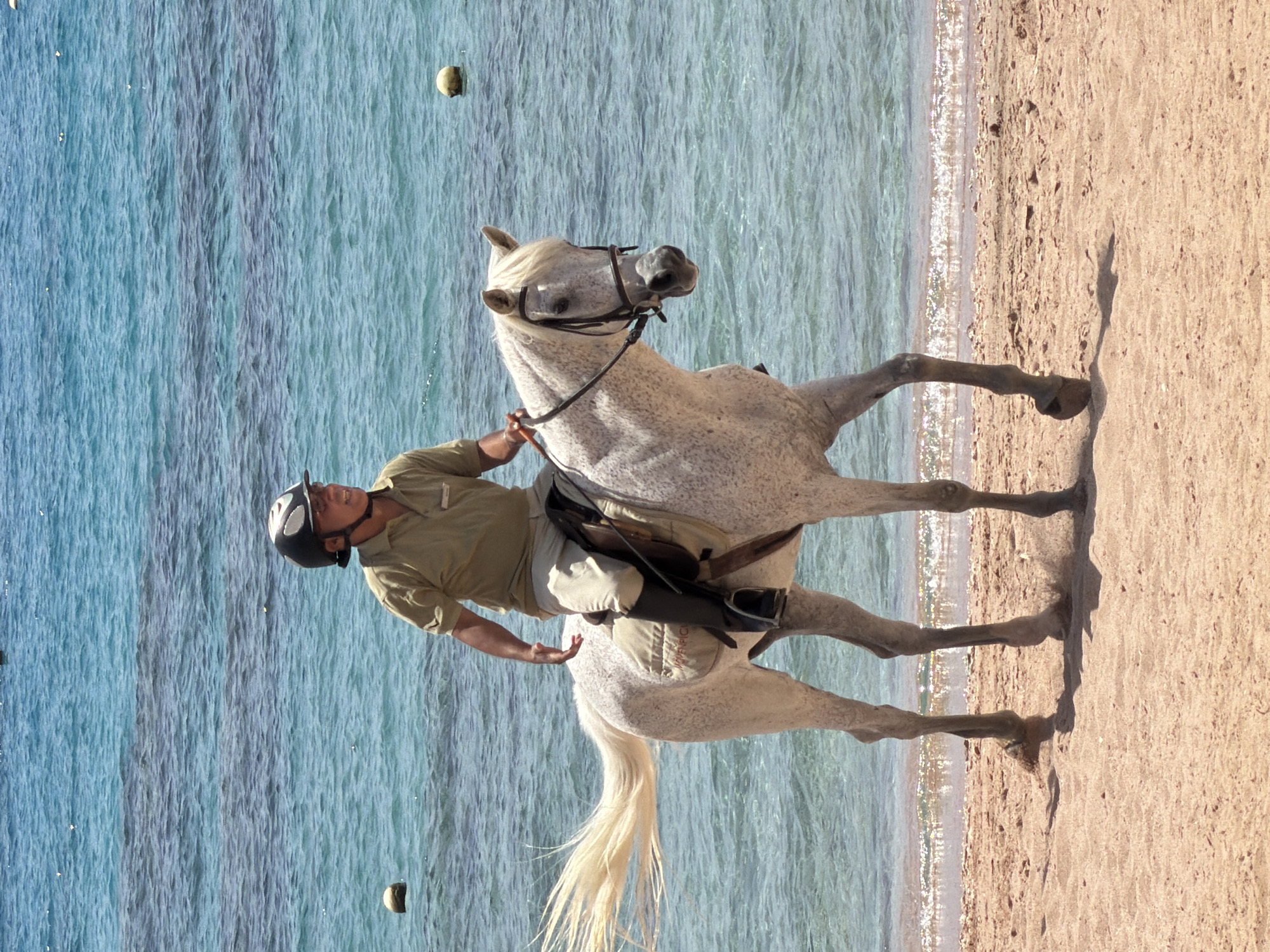 An eye-level outdoor shot captures a person riding a white or light grey horse on a sandy beach, with a calm blue sea to their left. The scene is set in Sharm El Sheikh, Egypt, under bright, sunny daylight, evidenced by clear lighting and distinct shadows cast on the sand by the horse and rider.
The rider, an adult male, wears a light brown or khaki long-sleeved shirt and a dark riding helmet. He is seated on a dark saddle with a lighter-colored saddle pad underneath. The horse, a dappled grey with a long, flowing white tail and mane, is equipped with a bridle and appears to be in motion, possibly trotting or cantering, as indicated by its leg positions.
The sea exhibits various shades of blue, with gentle ripples and small breaking waves visible along the shoreline. Further out in the water, two light-colored, round objects, likely buoys, float on the surface. The sandy beach extends to the right, displaying natural textures. Faint, unreadable text, possibly a brand name, is visible on the saddle pad. The overall image depicts a peaceful yet active moment of horseback riding by the ocean.