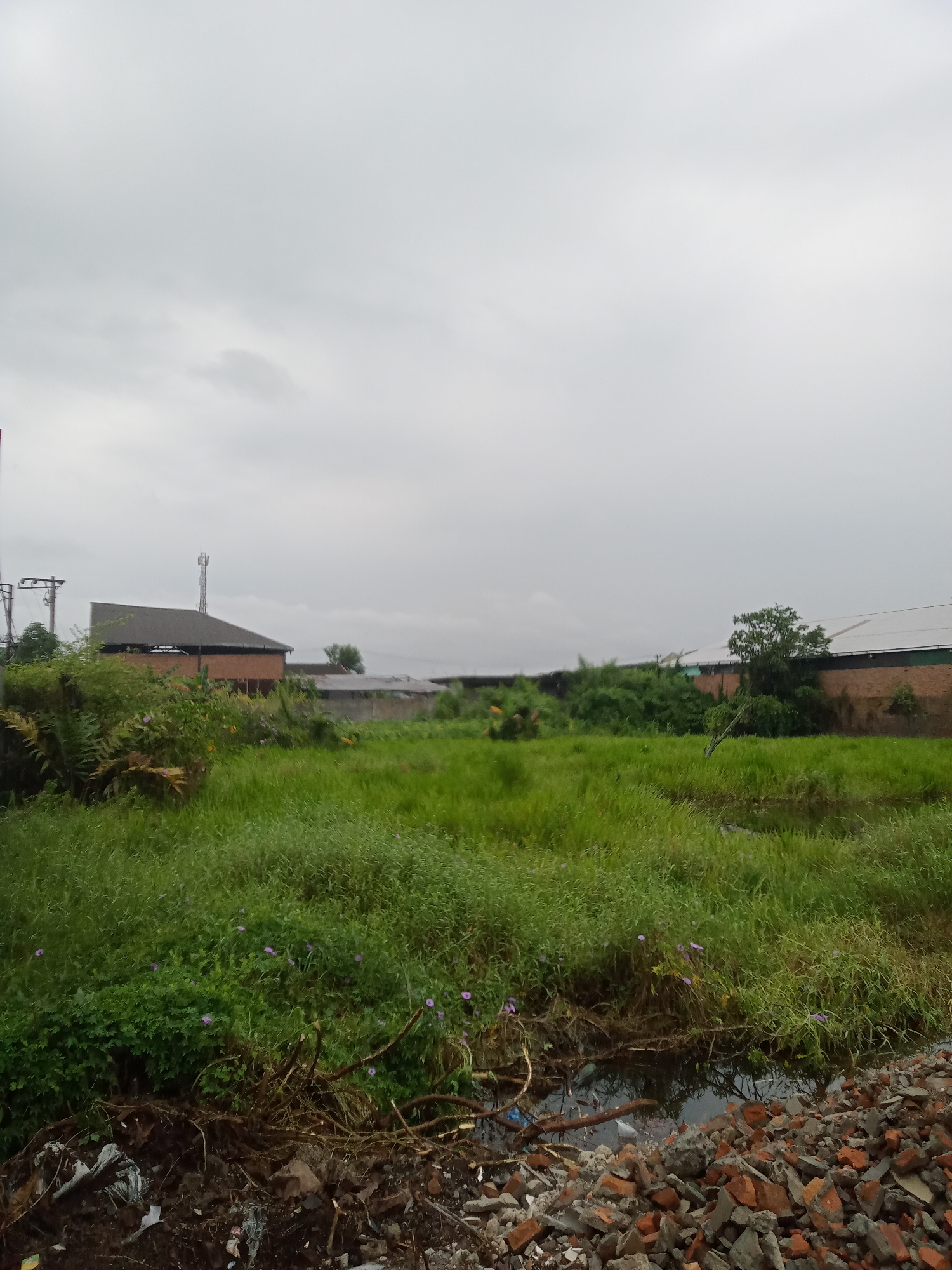 The image depicts an outdoor scene with a predominantly overcast sky. In the foreground, there is a pile of debris consisting of broken bricks, concrete pieces, and scattered organic matter like branches and leaves. Adjacent to the debris is a small body of murky water, reflecting the surrounding greenery. Beyond the water, a field of tall, green grass stretches across the middle ground, dotted with small purple flowers. In the background, a brick building with a dark roof is visible, and further to the right, another long building with a white roof and brick walls is present. A cellular tower stands tall behind the first building. The overall impression is one of an undeveloped or neglected urban fringe area, characterized by the presence of construction waste and overgrown vegetation.