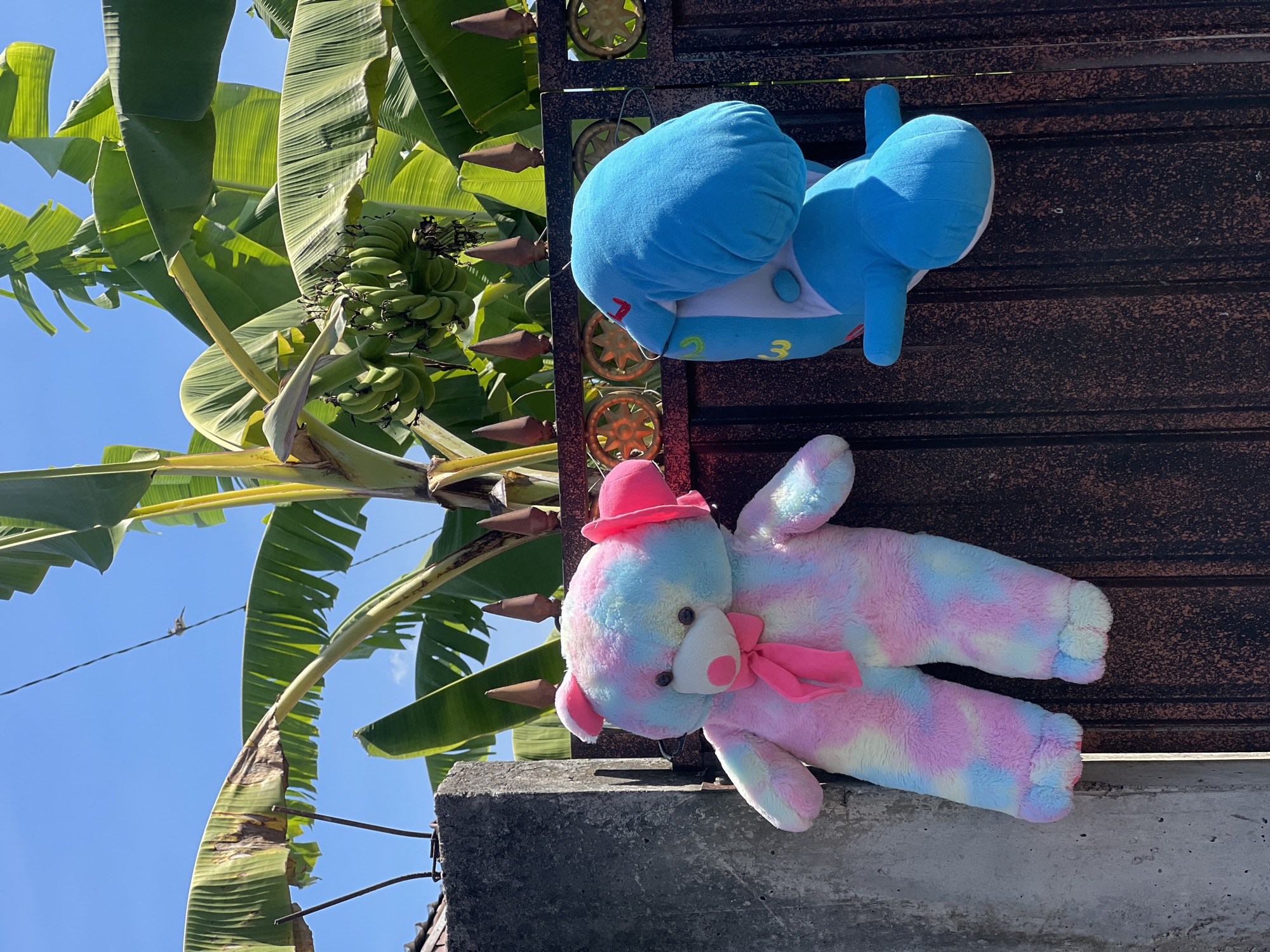 A large, tie-dyed teddy bear in pink, blue, and yellow hues, adorned with a pink bow, hangs from a metal fence. To its right, a blue stuffed dolphin is also suspended from the same fence. The fence is ornate with decorative circular elements and pointed finials along the top. Behind the fence, a banana tree with a cluster of green bananas is visible against a bright blue sky. The scene appears to be an outdoor setting, possibly in a residential area of Sukawati, Indonesia, indicated by the presence of a concrete pillar and the tropical vegetation. The lighting suggests it is daytime.