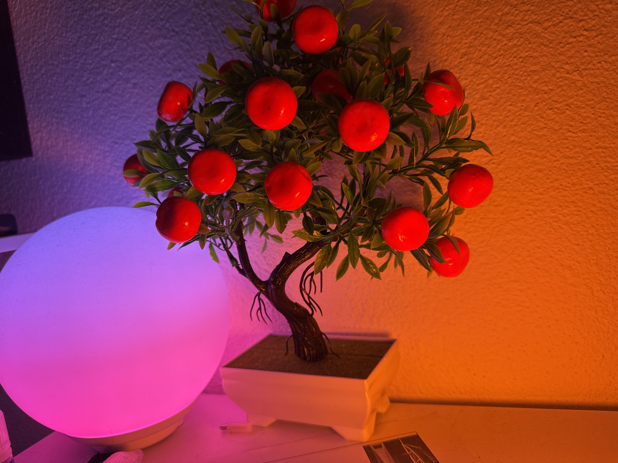 The image depicts a close-up, eye-level view of a decorative potted plant, likely artificial, with vibrant red fruits and green leaves. The plant is housed in a white, rectangular pot with a sloped design. It is placed on a surface that appears to be a shelf or table. To the left of the plant is a large, spherical lamp emitting a soft gradient of pink and purple light. The background consists of textured walls, illuminated by a warm orange light on the right and a purplish light on the left, creating a distinct color contrast. The lighting suggests an indoor setting, possibly a decorative display or a night scene. No people are visible, and the scene is static. The location of Porrentruy, Switzerland is not discernible from the image content.