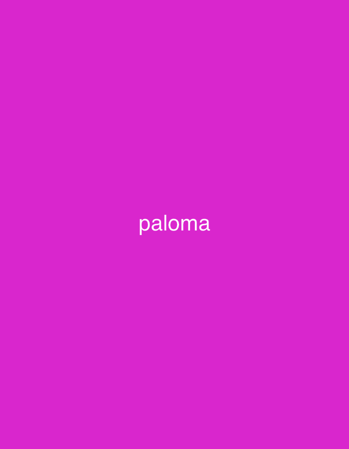 The image displays a solid, vibrant magenta background. Centered horizontally on this background, the word "paloma" is written in white, lowercase sans-serif text. There are no discernible subjects such as people or objects beyond the text itself, nor is there any specific scene or setting depicted in the image. No activity or event is taking place. Notable details like time of day, weather, or specific location cues are absent from the visual content. The color magenta dominates the entire frame. The image is presented with the contextual location of Santa Ana, Venezuela, though no visual elements within the image directly relate to this location.