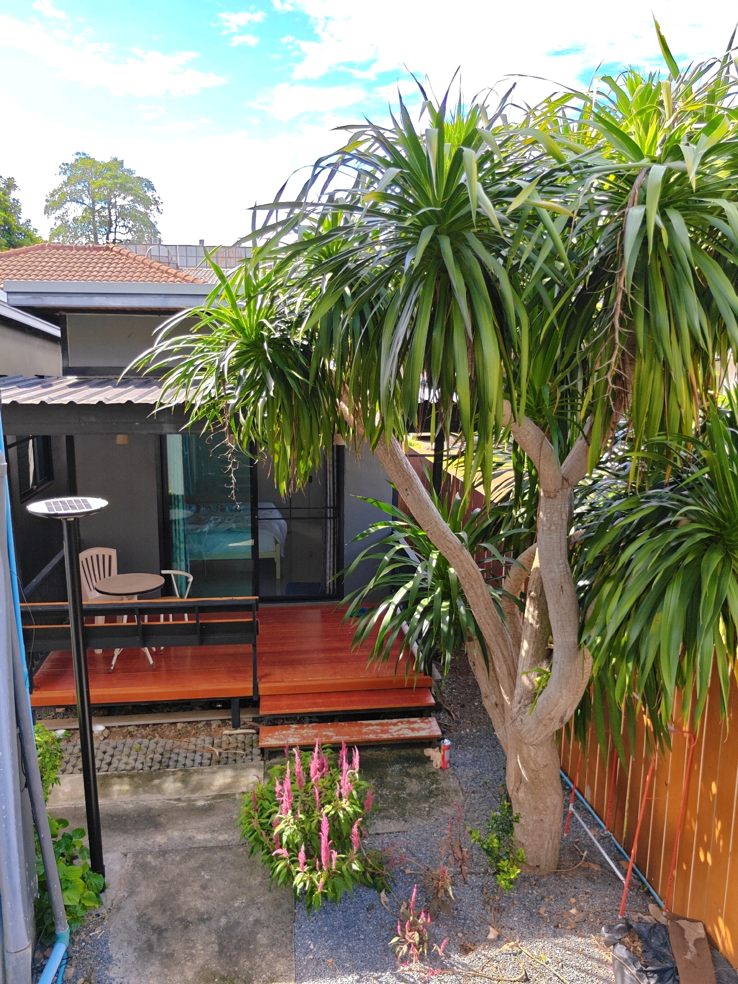 The image depicts an outdoor patio area adjacent to a building with a glass door and a corrugated metal roof. A wooden deck, accessible by stairs, is present. On the deck, there is a white table and chairs, and a solar-powered lamp post. A large tree with distinctive, spiky leaves dominates the right side of the frame. In the foreground, a paved walkway leads to a patch of pink flowers and gravel. The environment appears to be in Khao Yai, Thailand, under a bright, cloudy sky. There are no people visible in the image.