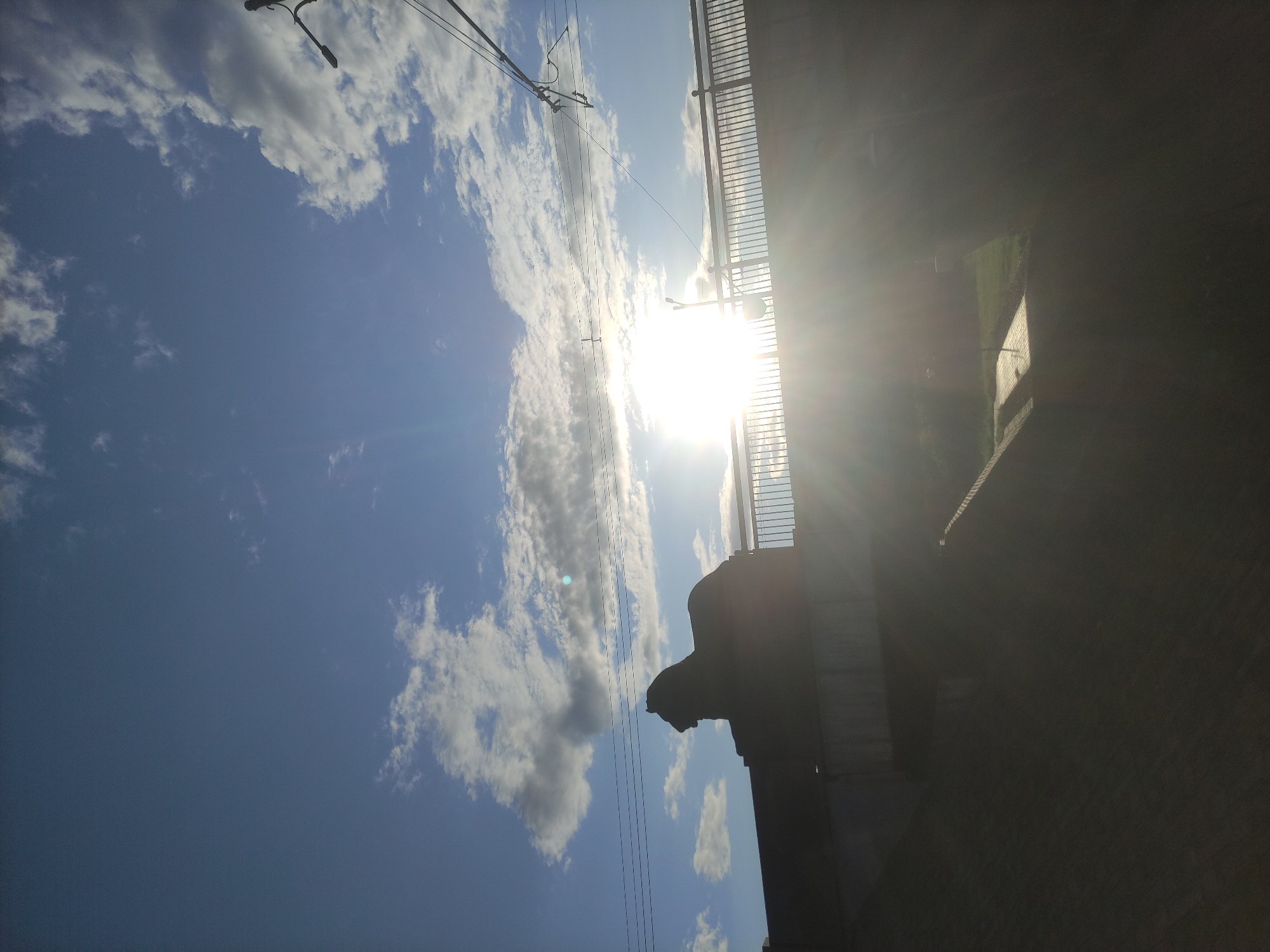 A low-angle, backlit photograph captures a silhouette of a lion sculpture atop a bridge structure. The sun is bright and positioned near the center of the frame, creating a lens flare effect and obscuring details. The sky is blue with scattered white clouds. A railing runs along the bridge. In the distance, telephone wires and a lamppost are visible. The foreground and lower portion of the image are dark and silhouetted, showing the side of a building or embankment. The image appears to be taken in Mahilyow, Belarus, possibly near the Lion monument.