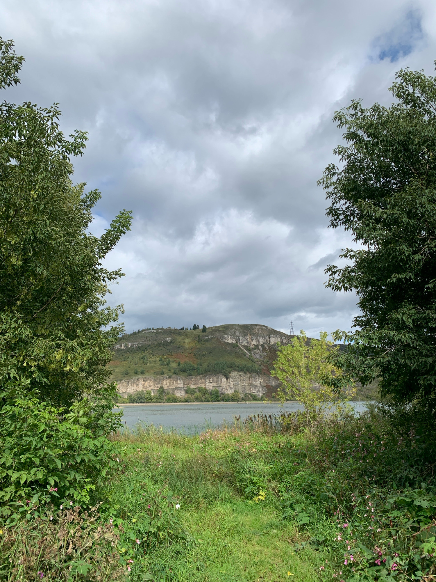 This image depicts a natural landscape viewed through a frame of lush green foliage from two large trees on either side of the foreground. The scene opens to a wide, calm body of water, likely a river, reflecting the overcast sky. Beyond the water, a prominent cliff face rises, its layered rock formations illuminated by diffused sunlight. The upper slopes of the cliff are covered in vegetation, with patches of green grass and autumn-colored plants. A lone electrical tower is visible on the distant hilltop. The foreground is a dense meadow with tall grasses and scattered wildflowers, some in bloom, suggesting a late summer or early autumn setting. The sky is dominated by heavy, grey clouds, creating a subdued and somewhat dramatic atmosphere. The image does not show any people or any identifiable landmarks within Minyar, Russia.