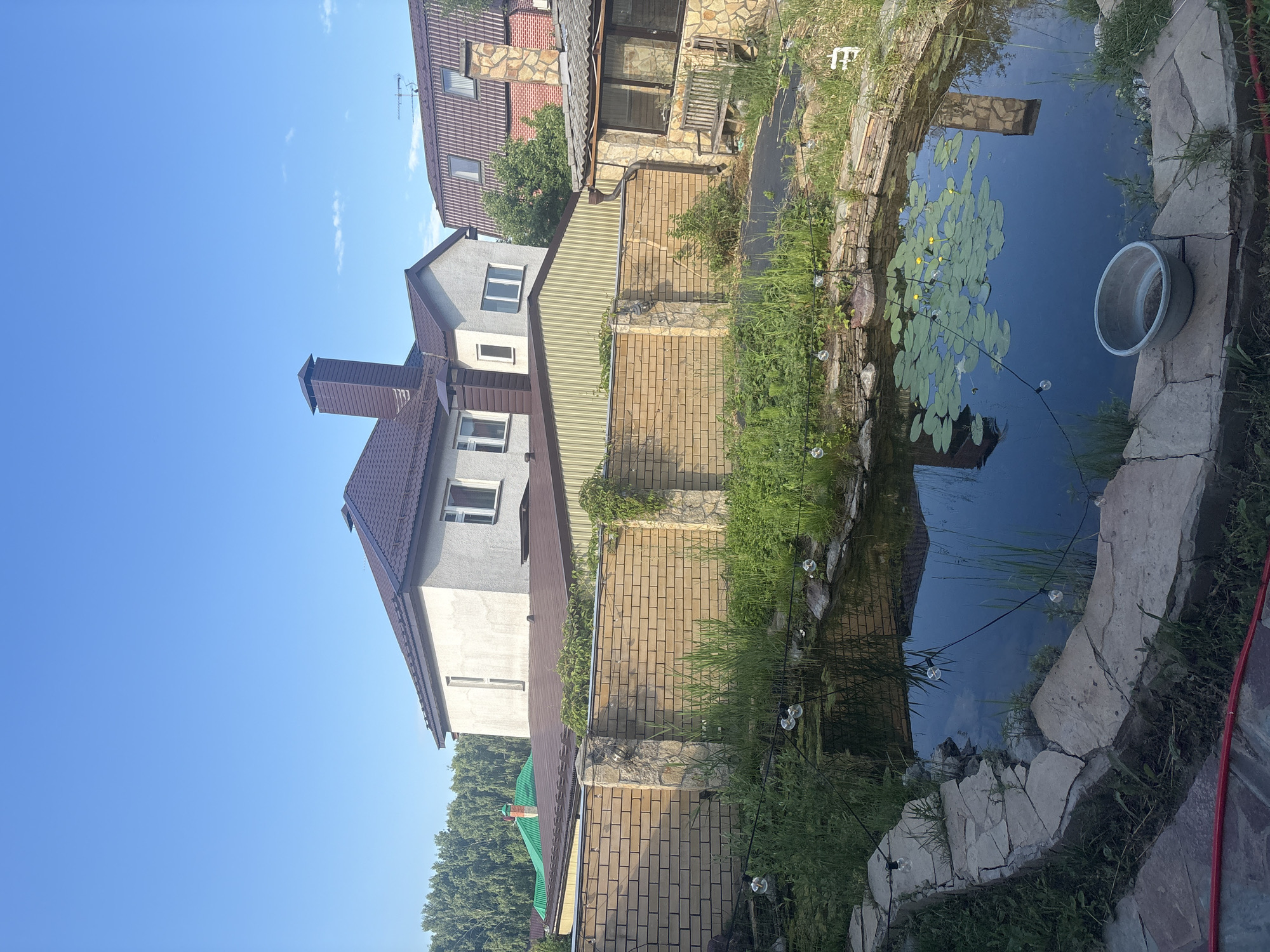 The image depicts a backyard scene in a suburban or rural area, likely in Ореховка, Russia, given the context. In the foreground, there is a small, irregularly shaped pond with a stone border. Lily pads and a few yellow water lilies float on the dark surface of the water. Several small, clear glass light bulbs strung on a wire hang above the pond. Surrounding the pond are various green plants and grasses, with some taller reeds growing directly in the water. A metal basin or bowl rests on the edge of the pond.
Behind the pond, a light brown brick wall with stone pillars separates the yard from the neighboring properties. Beyond the wall, several houses are visible. The most prominent house is a two-story structure with a white facade, a brown tiled roof, and a tall, dark brown chimney. Another house to the right has a brown tiled roof and a stone chimney. Further in the background, a dense line of green trees forms a natural boundary. The sky above is a clear, bright blue with a few wispy clouds. The overall impression is of a residential area on a sunny day.