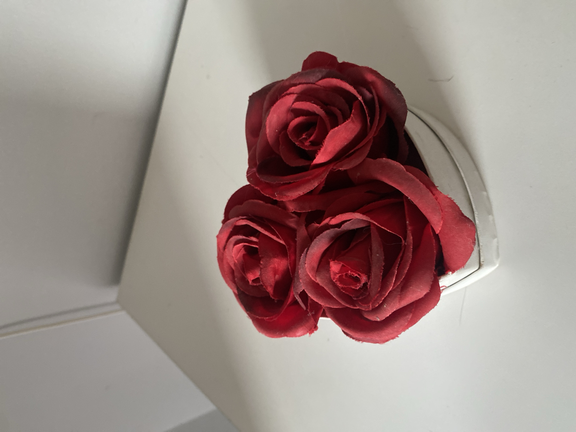 A close-up, eye-level shot shows three artificial red roses in a small, heart-shaped white container. The roses are positioned in the center of the frame, with their petals unfurled and tightly packed. The background is a plain white surface, likely a table or shelf, with a soft shadow cast by an unseen light source. The overall lighting is soft and diffused, creating a gentle ambiance. The image does not provide any specific details about its location in Wrocław, Poland, or any actions or interactions taking place.