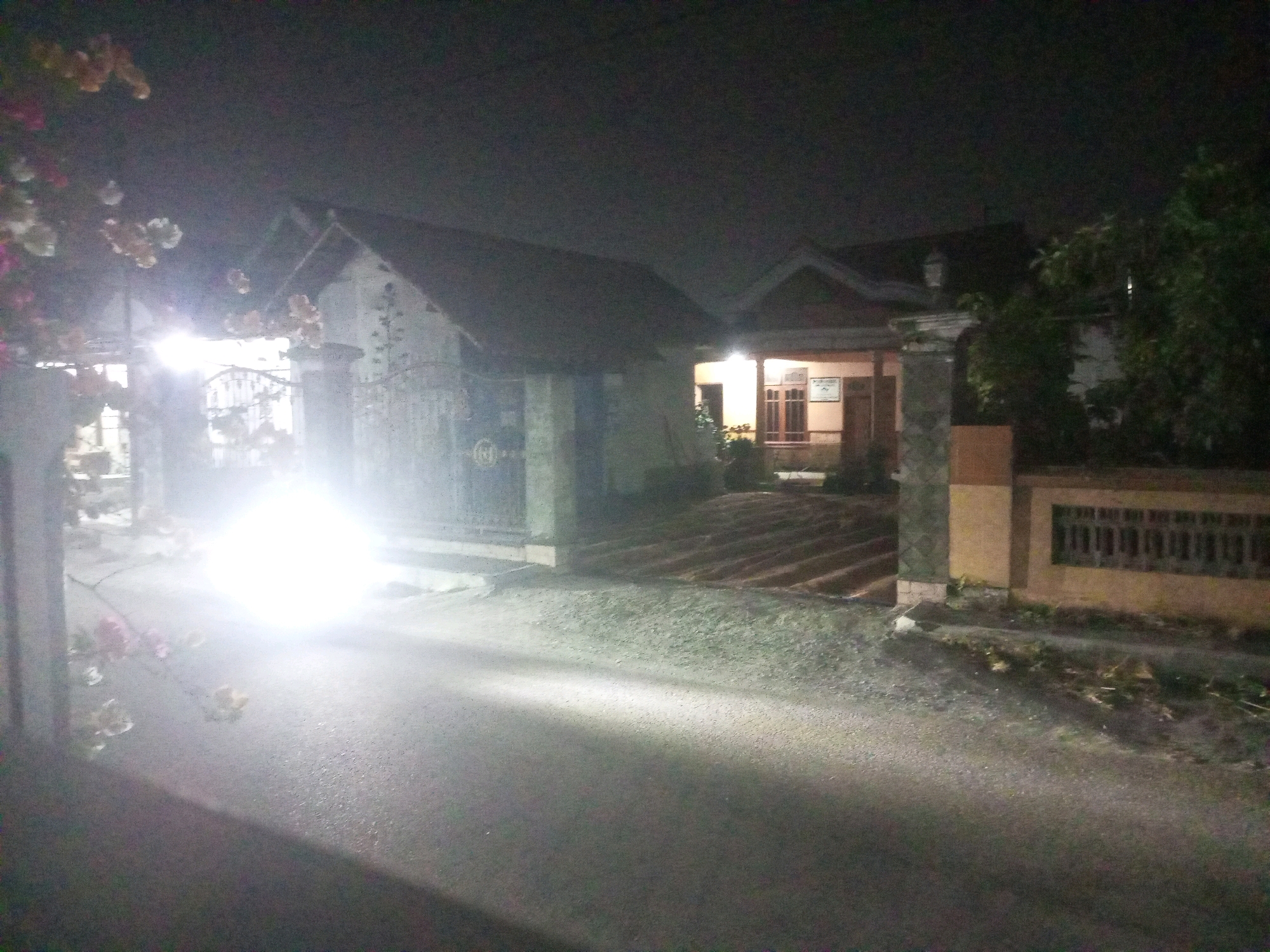 The image shows a residential property at night, likely in Ngasem, Indonesia, illuminated by a bright light source, possibly headlights. The scene depicts a paved road in the foreground leading towards a house with a gated entrance. The house has a traditional architectural style with a dark-tiled roof and visible windows and a porch. A brightly lit gate with ornate metalwork is a prominent feature. On the left side of the road, a tree with pink and white flowers is partially visible. The right side of the property features a wall with a decorative window or grill and some vegetation. The overall lighting suggests it is nighttime, and the bright light source creates a strong glare, obscuring some details of the immediate vicinity.