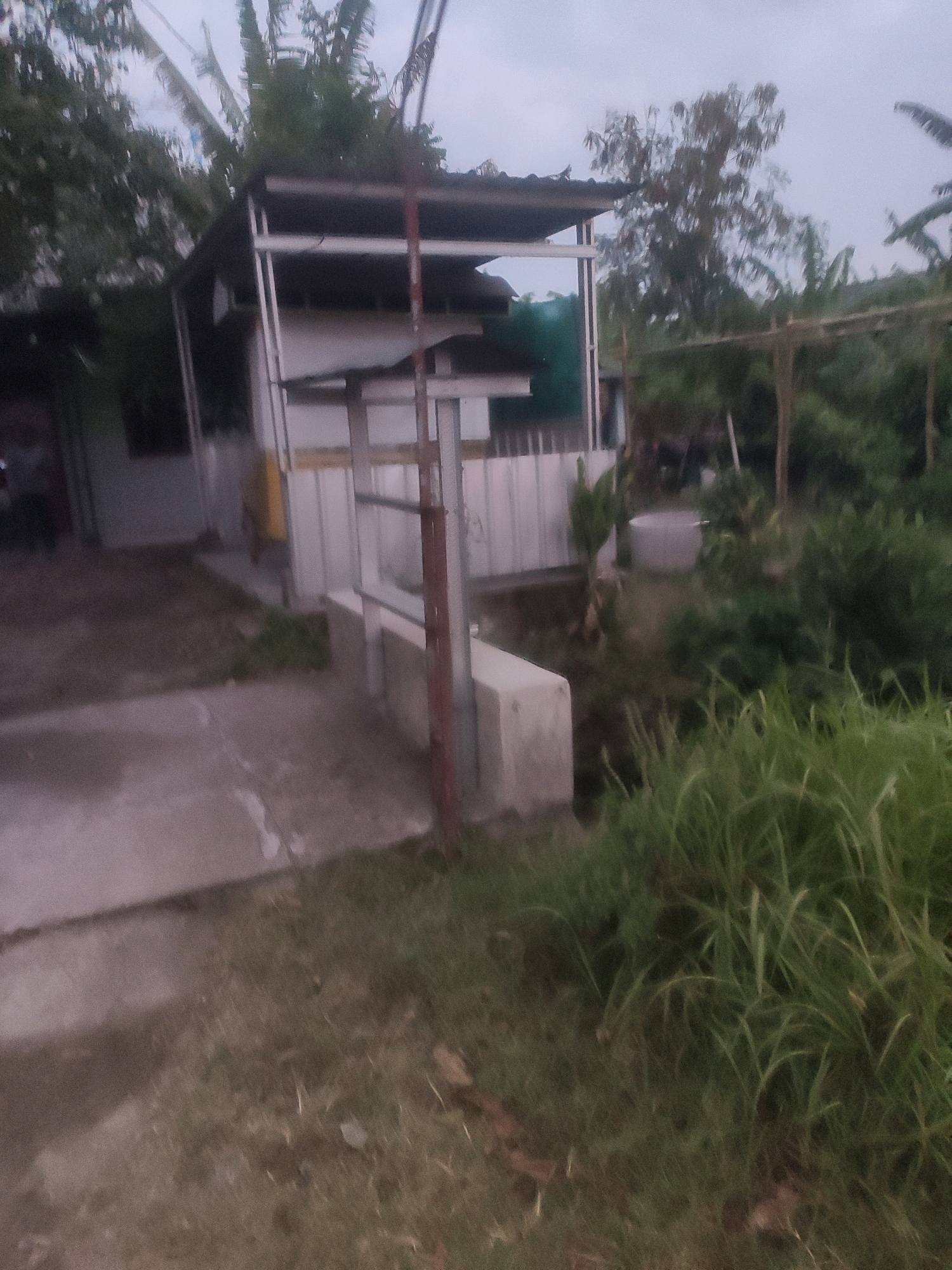 The image depicts an outdoor scene in Bongkot, Indonesia, under an overcast sky. In the foreground, there is a paved area and a patch of tall green grass. To the left, a low concrete structure is visible. Behind this, a building with a corrugated metal roof and siding is present. A vertical metal pole with some rust is prominent in the center of the image, extending from the ground to above the building's roofline. Further in the background, more vegetation, including trees and what appear to be banana plants, can be seen. A light-colored circular object, possibly a tub or basin, is situated among the greenery. The overall impression is one of a somewhat dilapidated, possibly rural or semi-rural, setting.