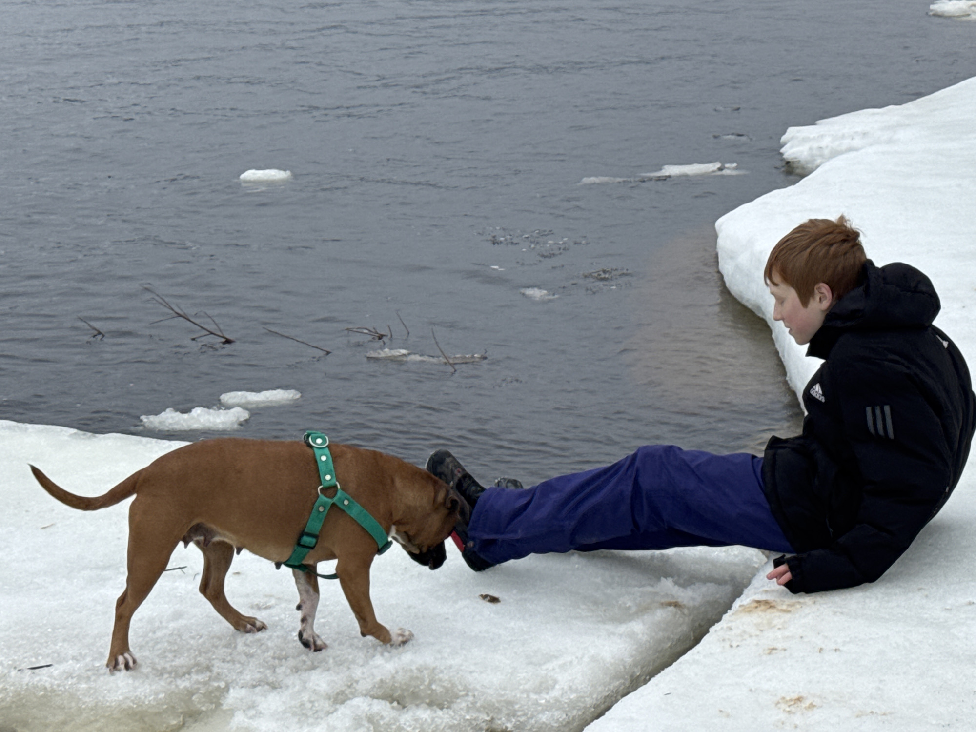 A young, light-skinned person with red hair, wearing a black winter coat with three light-colored stripes on the sleeve, and blue pants, is sitting on a snowy bank next to a body of water. Their legs are extended towards the water. A brown dog with a green harness stands near the person's feet, appearing to sniff or interact with the person's boots. The body of water has ice floes. The scene appears to be outdoors on a cold, possibly overcast day. No specific identifiable landmarks are visible to confirm the location.