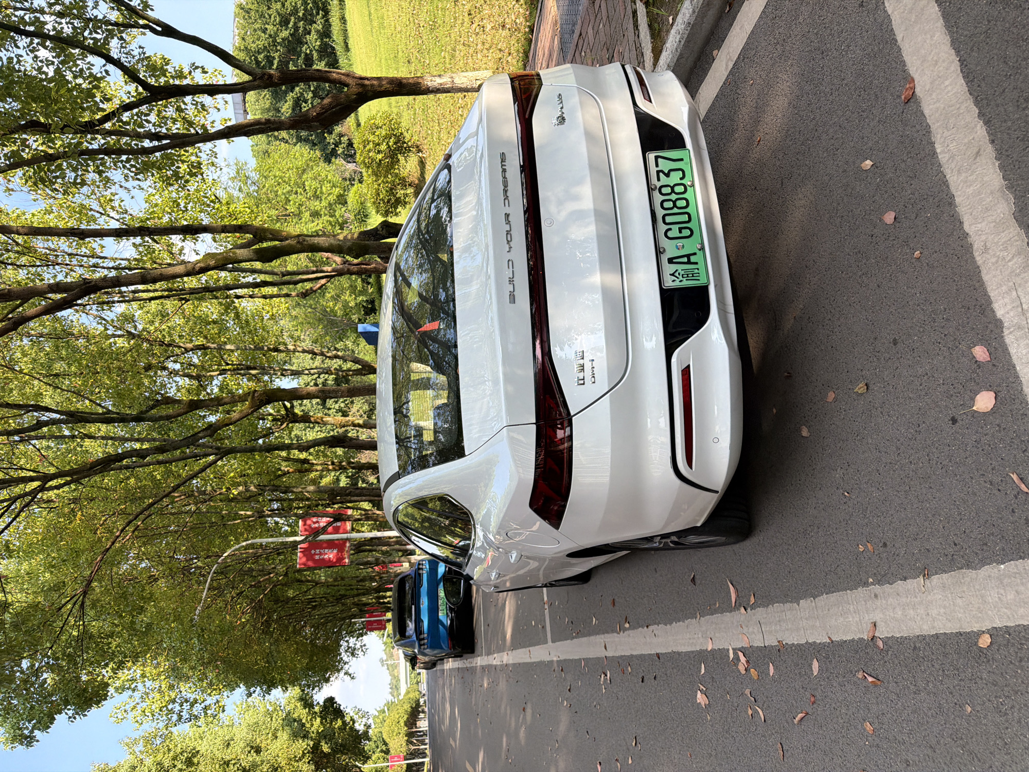 A white BYD Seal electric sedan is parked on a street lined with trees and lampposts in Jiangjin District, Chongqing, China. The car's license plate reads "A-G08837". A blue electric car is parked in front of it, and more cars are visible in the distance on the same street. The ground is paved with asphalt, and fallen leaves are scattered on the road and sidewalk. The sky is clear and blue, with sunlight filtering through the tree canopy. Red banners hang from some of the lampposts.