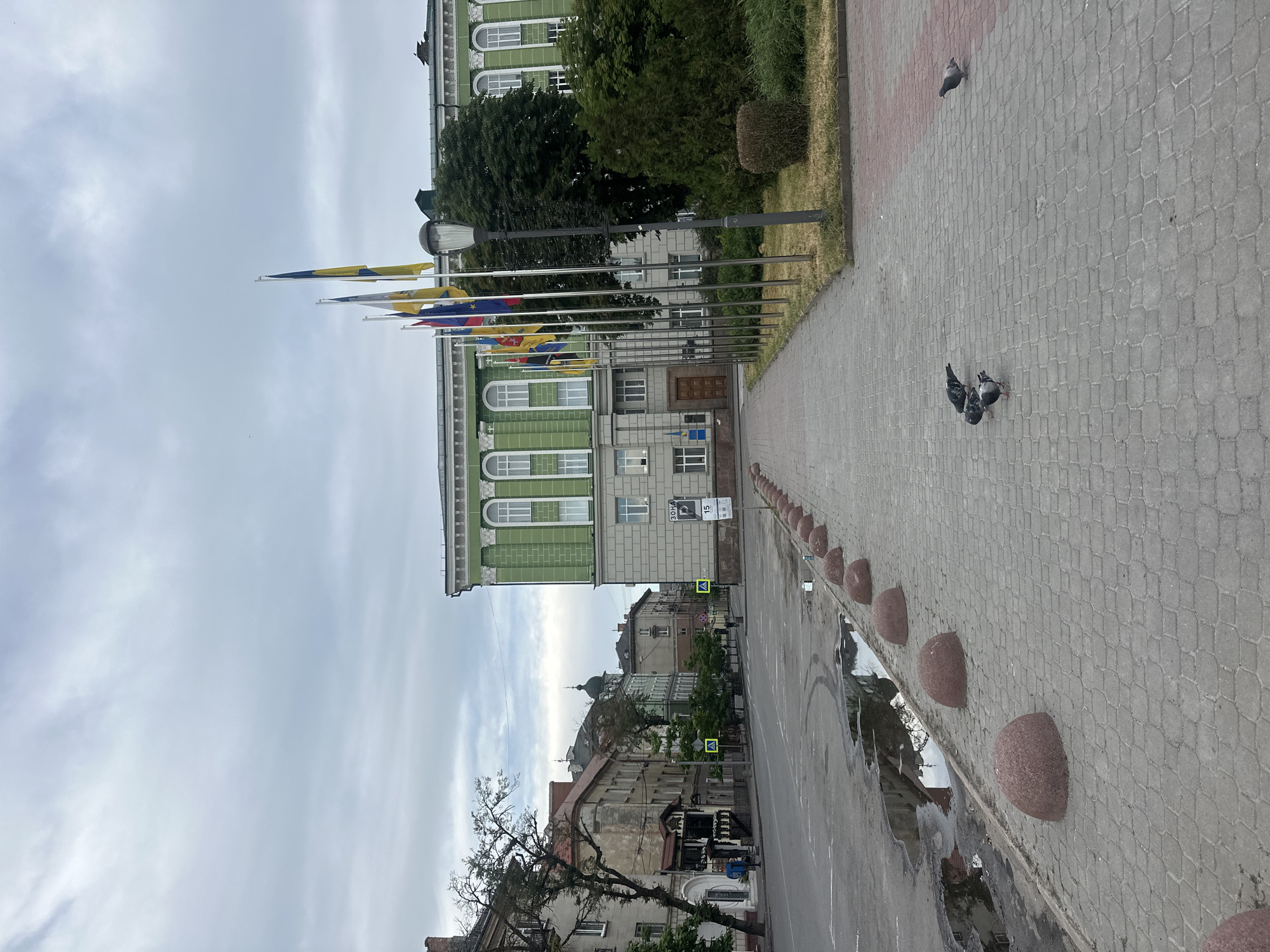 A low-angle, eye-level exterior shot captures a city street scene in Ternopil, Ukraine. The overcast sky suggests a cloudy day. A large, green and gray building with arched windows dominates the right side of the frame. In front of this building, a row of flags on tall poles waves in the breeze. A sidewalk paved with light gray interlocking bricks runs along the building. Beyond the sidewalk, a grassy area and trees are visible.
To the left of the building, the street is wet with several large puddles reflecting the cloudy sky and surrounding architecture. The street is lined with large, round, reddish-brown concrete bollards. On the sidewalk, four pigeons are visible, three clustered together and one a short distance away.
Across the street, there are several older, multi-story buildings with a mix of architectural styles and varying colors, including gray and light brown. Some trees grow along the sidewalk in front of these buildings. Yellow pedestrian crossing signs with black arrows are visible on the street. A single person is walking away from the camera down the sidewalk on the left side of the street. The overall impression is of a quiet, urban environment on a subdued day.