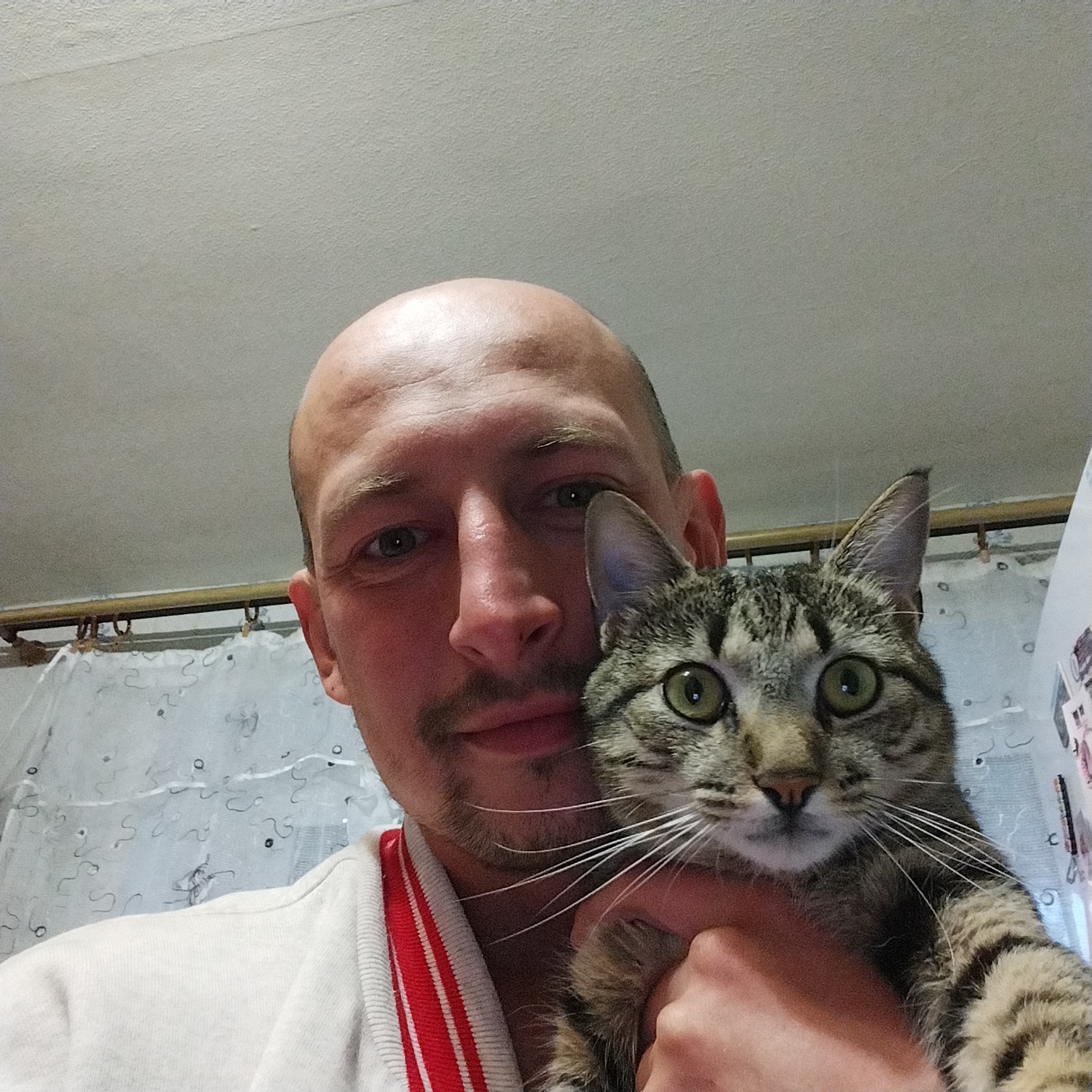 A man with a shaved head, a mustache, and light stubble is holding a tabby cat. The man is wearing a white sweater with red and white striped trim. The cat is looking at the camera with wide green eyes. The background appears to be an indoor setting with a white ceiling, and a patterned shower curtain. The image is a close-up selfie.