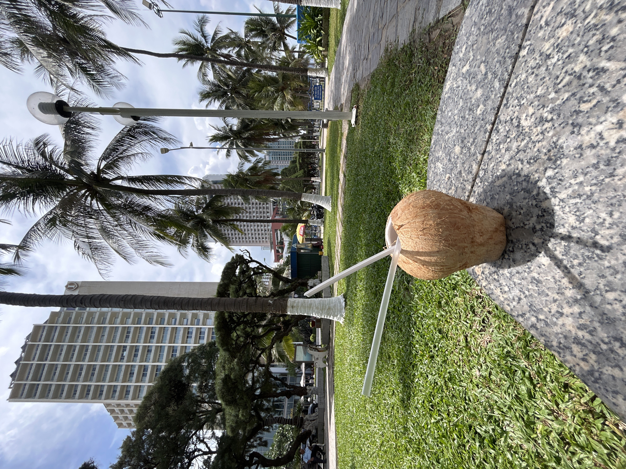 The image shows a coconut with two white straws inserted into it, resting on green grass near a gray granite ledge. In the background, there are palm trees, streetlights, and buildings, including a high-rise structure. The scene is located in Nha Trang Ward, Vietnam. There are a few people sitting near the trees but they are very small.