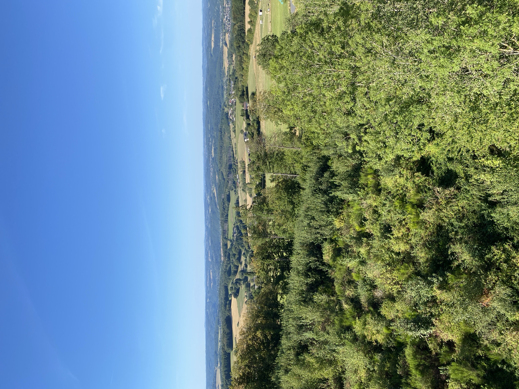 The image depicts a wide panoramic view of a rural landscape under a clear blue sky. In the foreground, dense green foliage and trees dominate the scene, with a variety of textures and shades of green indicating different types of vegetation. As the view recedes into the mid-ground, rolling hills covered with a patchwork of agricultural fields, forests, and scattered buildings become visible. Some fields appear to be harvested, with a golden hue, while others are lush green. In the distance, more undulating hills and a hazy horizon suggest a vast expanse of countryside. The scene is serene and natural, with no people or specific objects of interest immediately apparent. The lighting suggests it is daytime, likely late morning or afternoon, given the bright sunlight and clear sky.