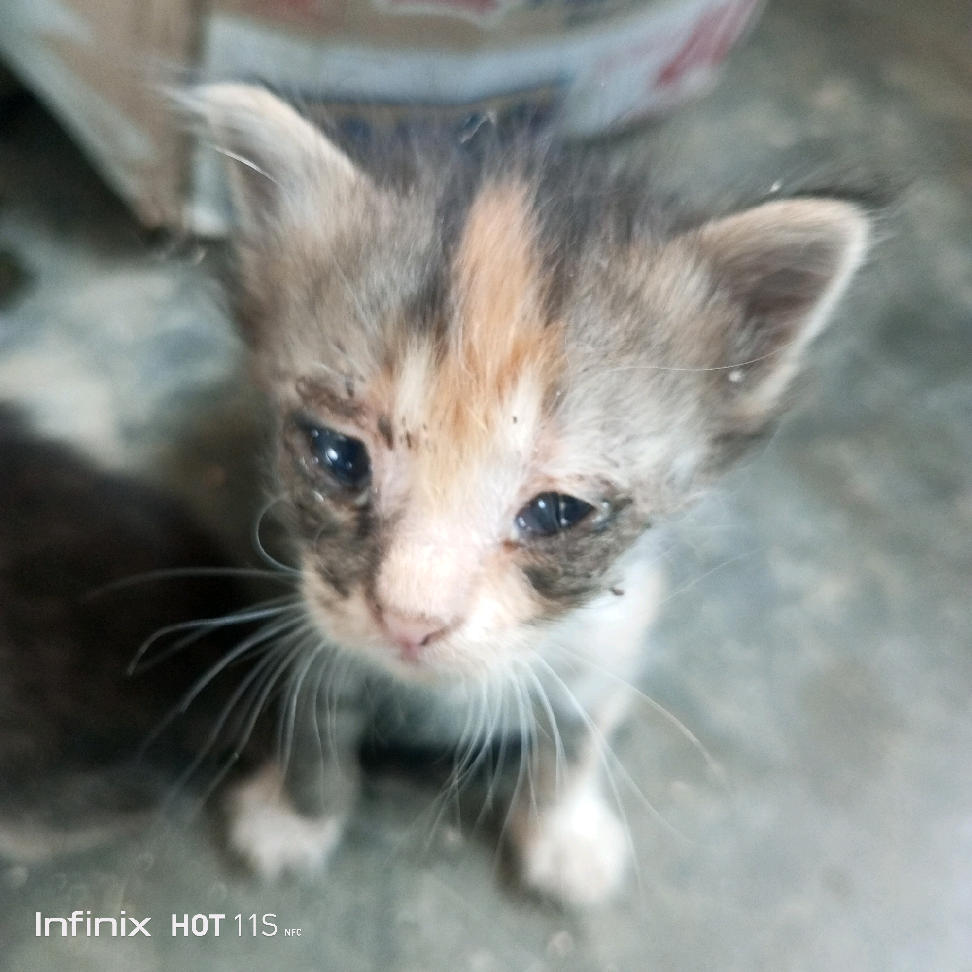 A close-up, slightly out-of-focus, high-angle shot shows a calico kitten with dirt around its eyes, looking upwards. The kitten is positioned centrally in the frame, with its body slightly to the left. Its fur is a mix of grey, tan, and white. The background is blurred, suggesting an indoor or sheltered environment with a concrete floor. A faint watermark at the bottom of the image reads "Infinix HOT 11S NFC". There is no indication of the location being Sukaslamet, Indonesia.