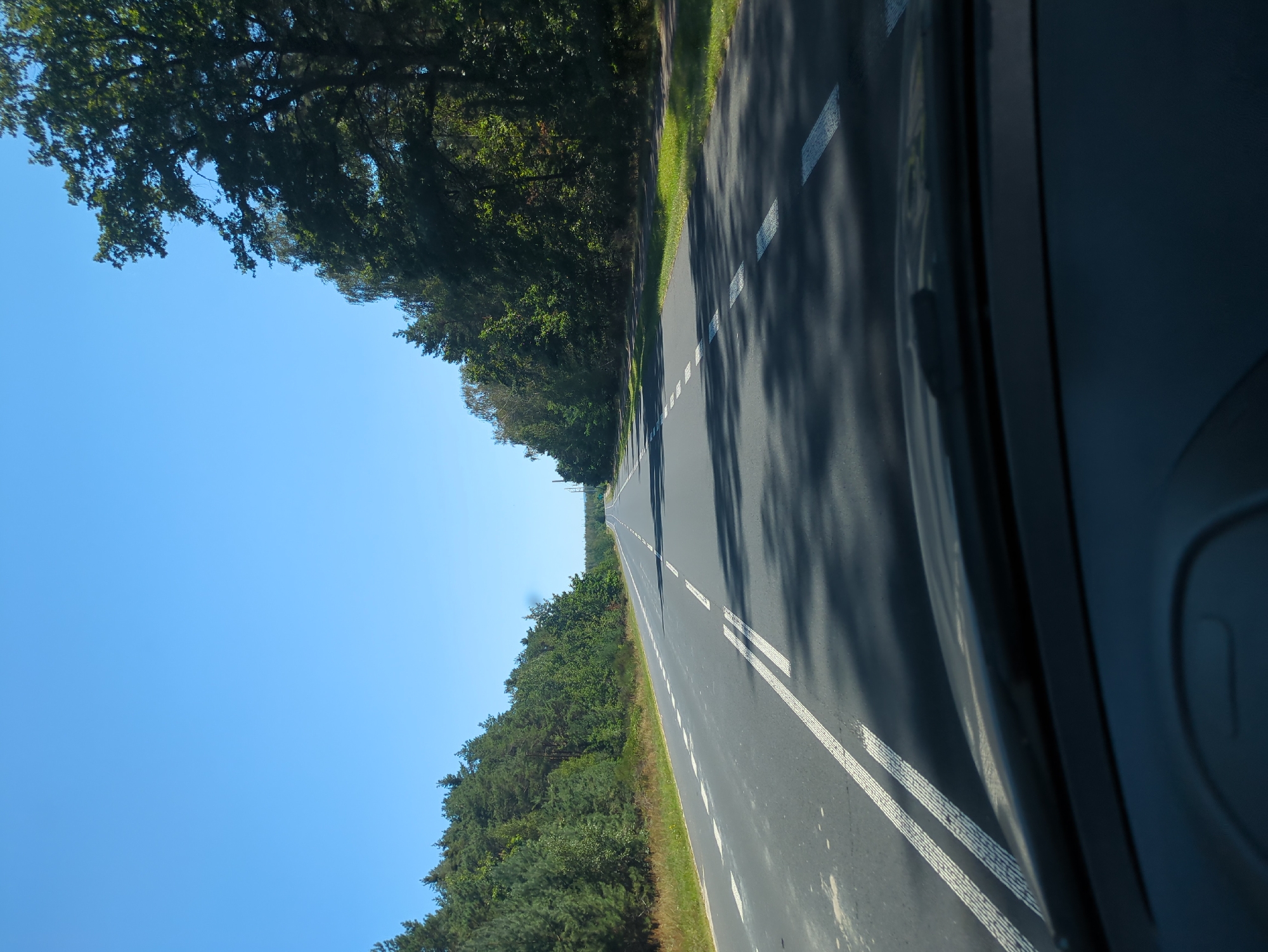 The image captures a view from inside a vehicle, looking forward along a two-lane asphalt road that curves slightly to the right. The road is flanked by dense green trees on both sides, with a clear blue sky overhead. White dashed lines mark the lanes, and the pavement shows some signs of wear and tear. The perspective suggests the vehicle is in motion. The scene is set in a rural or semi-rural area, likely a wooded region. Given the location of Żłobnica, Poland, this road appears to be a typical country road in that region.