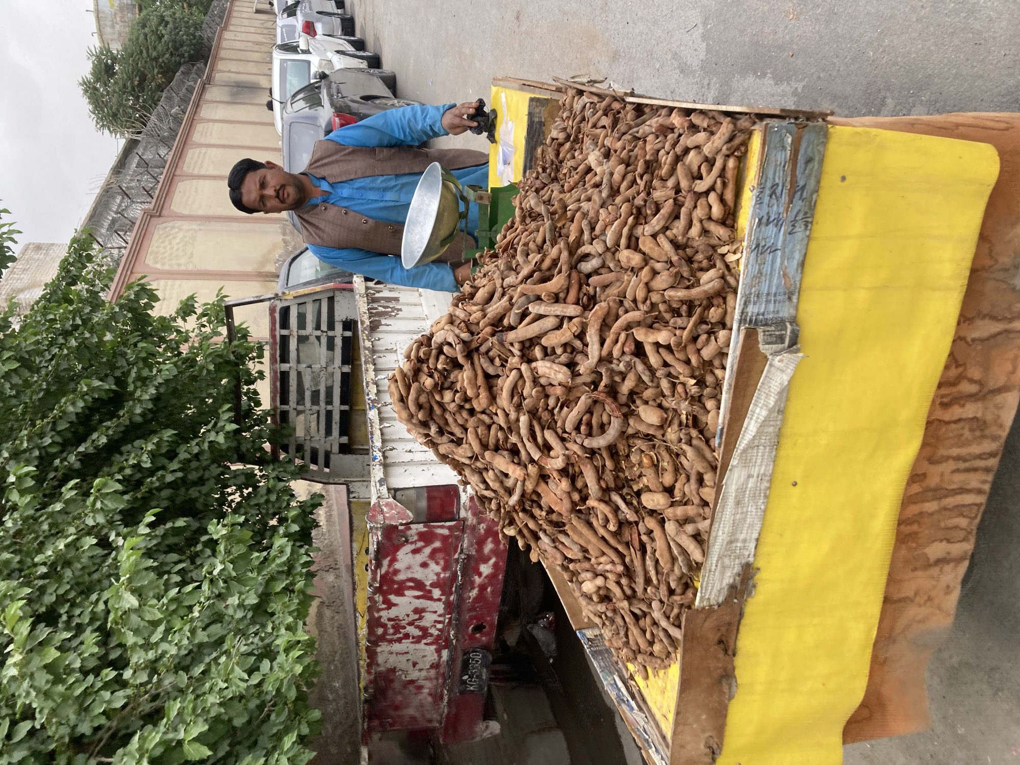 In Quetta City Tehsil, Pakistan, a man stands beside a truck filled with tamarind pods. He wears a blue shirt and brown vest, holding a balance scale with a black weight. The tamarind is piled high in a wooden crate on the truck bed, painted yellow and tan. Behind the truck are parked cars and a fence topped with barbed wire. A large bush grows beside the truck. The license plate "KG-3550" is visible on the truck's rear.
