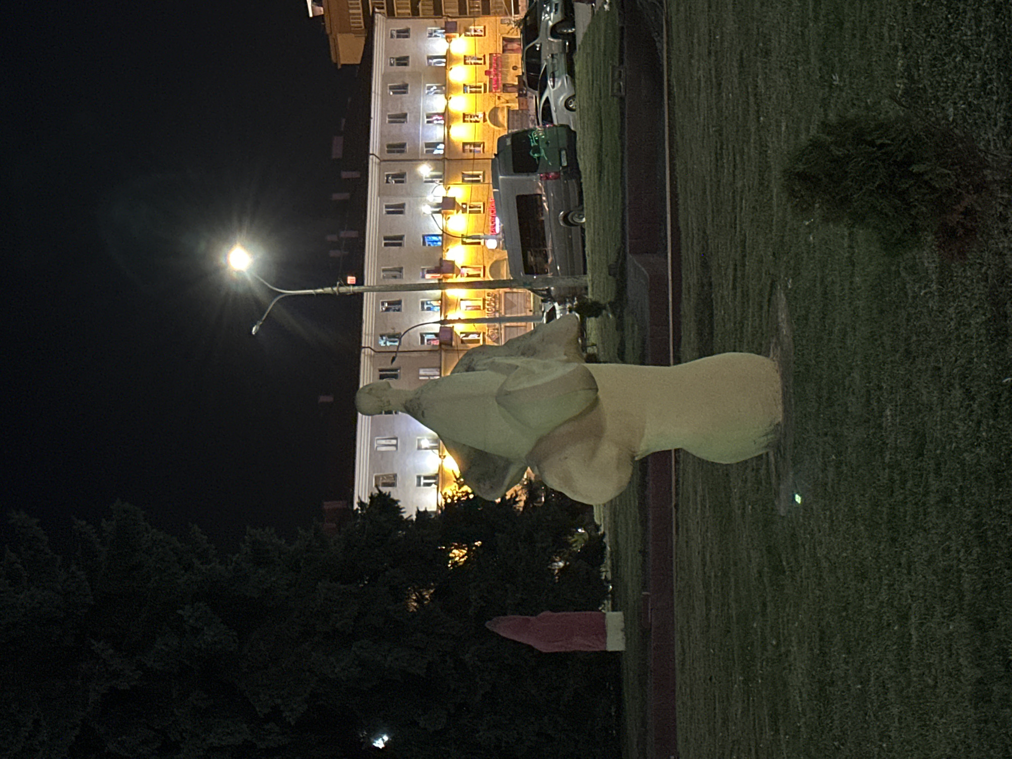 A statue of a large, abstract mushroom stands in the foreground on a grassy area. To the left of the mushroom statue, a tall, dark evergreen tree is visible. Further left, a slender, pink statue is draped with what appears to be a pink fabric or cover, and it stands on a white base. Behind the statues and tree, a multi-story building with numerous lit windows illuminates the night sky. In front of the building, a streetlamp with a bright light is visible. Several vehicles, including a gray van and two cars, are parked on the street. The scene appears to be an urban public space at night. The statue is located in Minsk, Belarus, specifically at the intersection of Independence Avenue and Komsomolskaya Street.