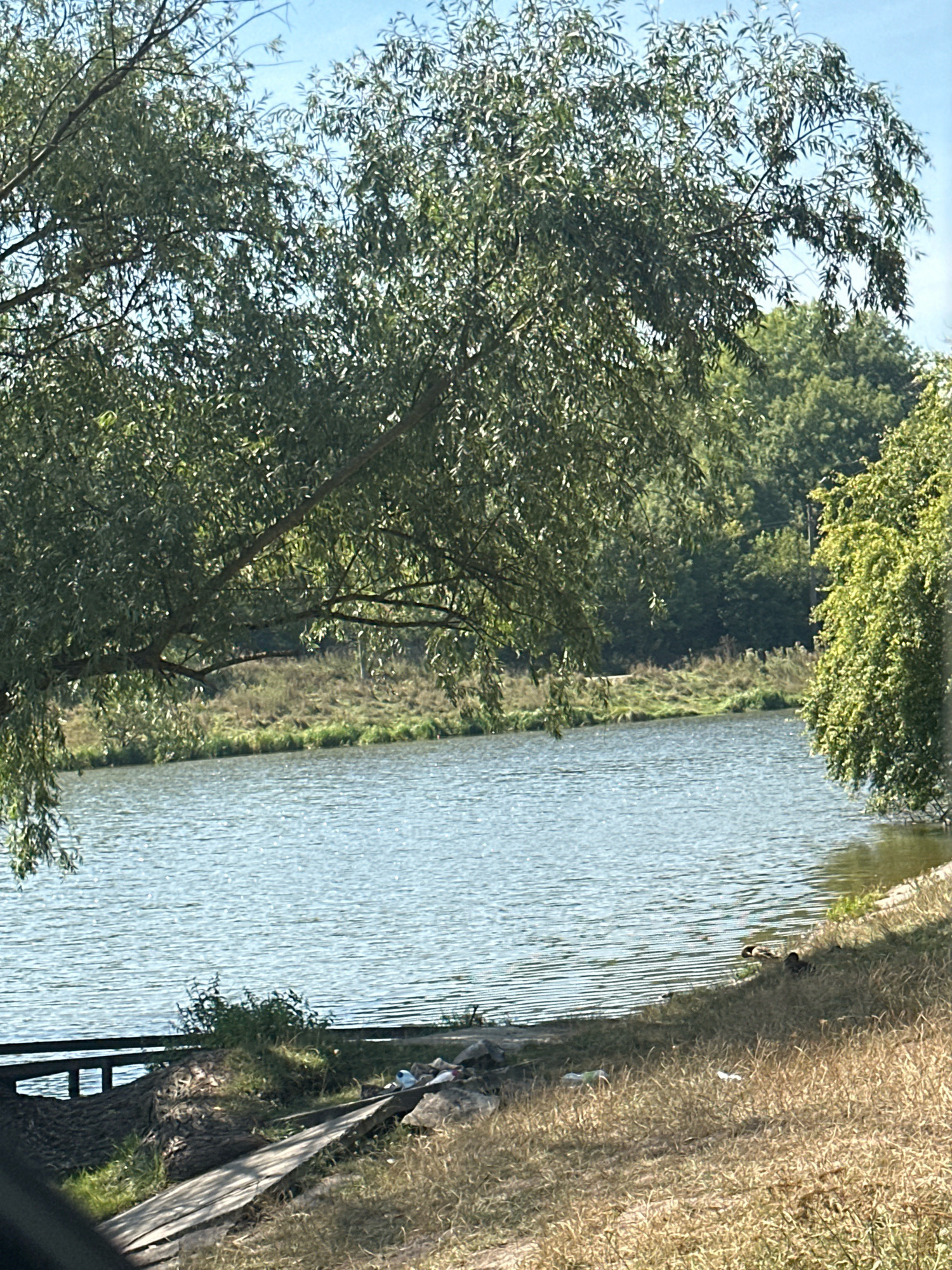 The image depicts a tranquil waterscape with lush green trees framing the scene. The foreground features dry, golden grass and a wooden structure on the bank of a body of water. The water itself is calm, reflecting the light of the sky, with ripples visible on its surface. In the distance, dense foliage creates a natural backdrop. Several ducks are visible near the water's edge. The environment suggests a natural setting within or near the city of Makiv, Ukraine.