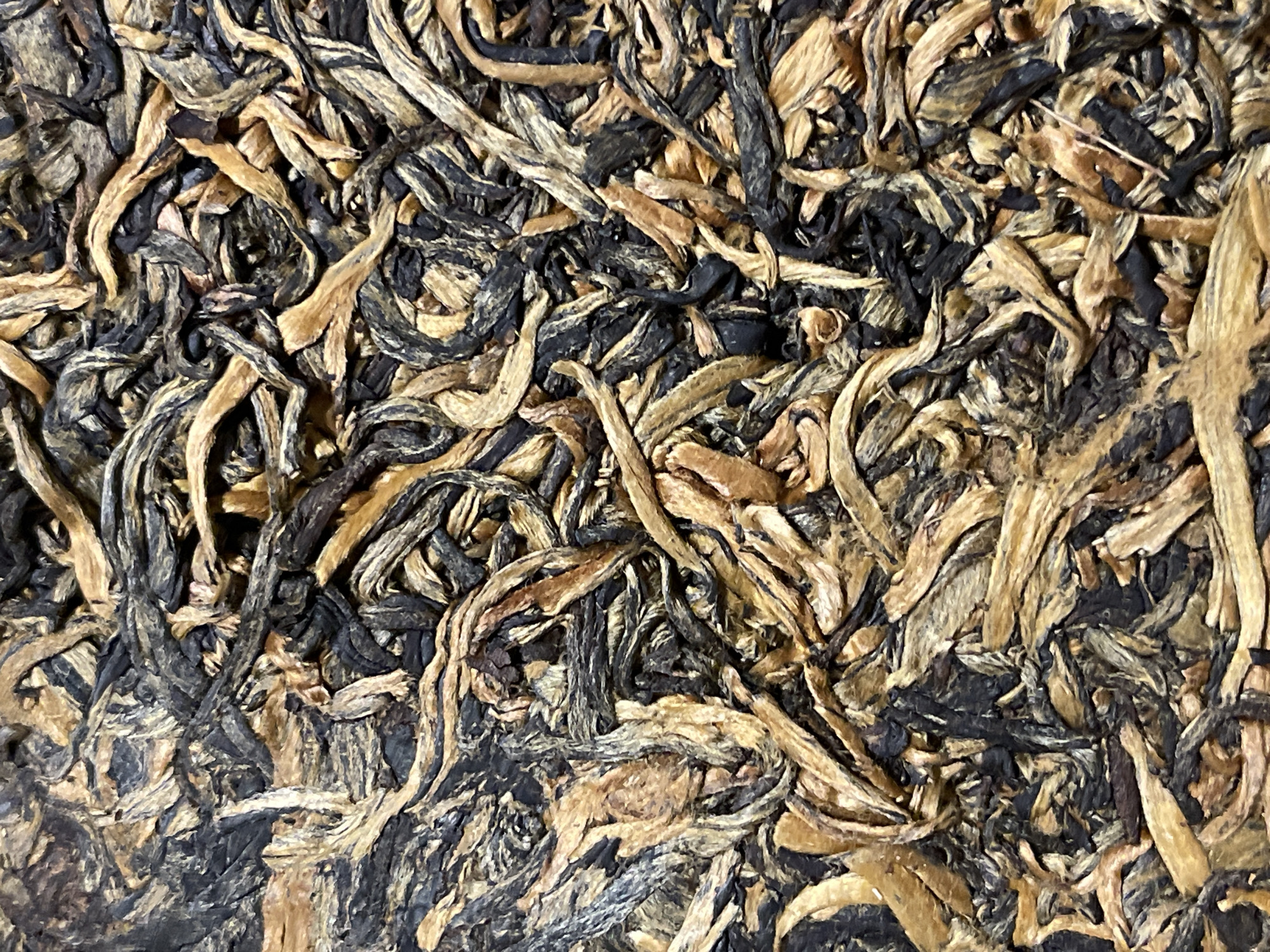 A close-up shot shows a dense mass of dried tea leaves, predominantly brown and black in color. The leaves are elongated and appear slightly curled, creating a textured and irregular surface. There are no people or specific objects beyond the tea leaves visible. The environment is limited to the leaves themselves. There's no indication of this image being located in Kyiv, Ukraine.