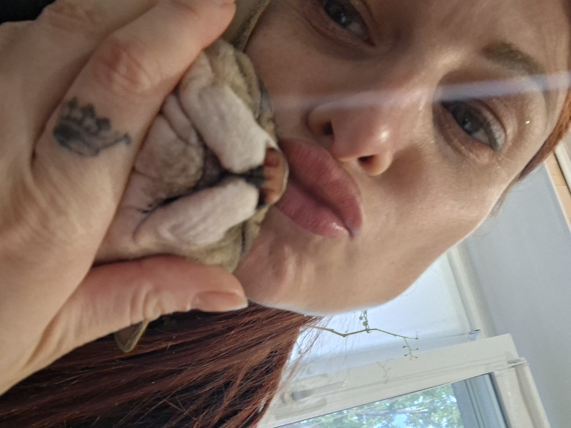A close-up, selfie-style photograph captures a Caucasian woman with reddish-brown hair leaning in to kiss a small cat. The woman's face is partially obscured by her lips, which are colored with a glossy pink lipstick and extended towards the cat. Her left eye is visible, with visible makeup. A small, dark tattoo, appearing to be a crown or crest, is visible on the side of her index finger. The cat, light brown and white with visible whiskers, is held gently in her hands. The background consists of a bright, indoor environment with a window to the right, revealing a glimpse of green foliage and a bright sky, suggesting a daytime setting. The environment does not provide any specific indicators of the city of Myadzyel, Belarus.