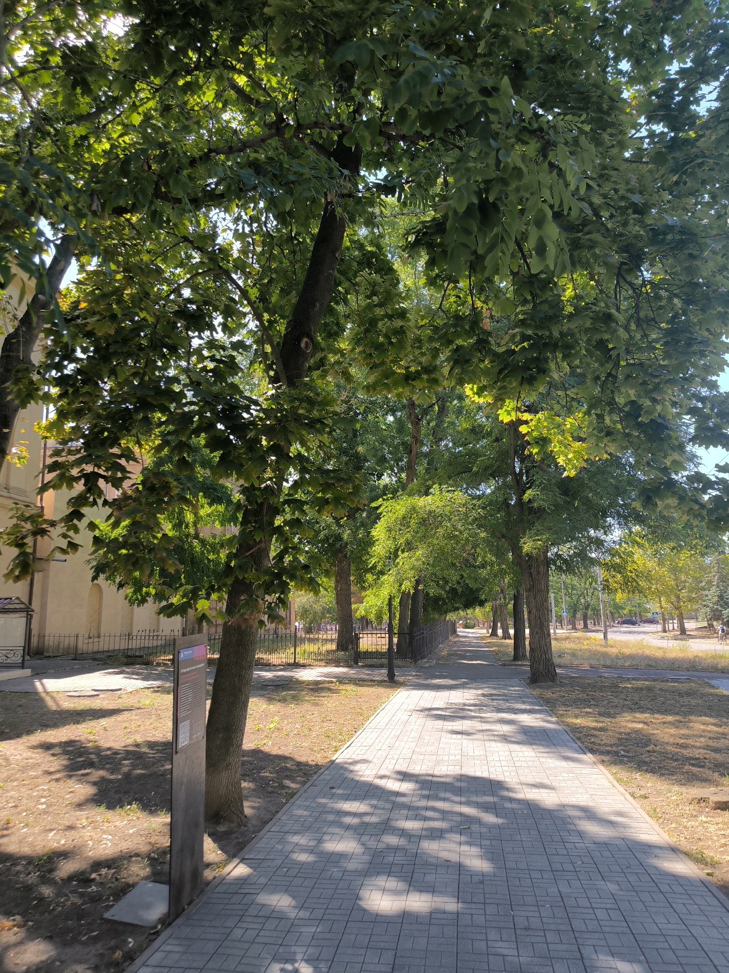 The image depicts a paved pedestrian walkway lined with trees on both sides, extending into the distance. The walkway is made of grey rectangular pavers laid in a basketweave pattern and is partially shaded by the overhanging branches of mature trees. To the left of the walkway, there is a sidewalk area with dry grass, a metal fence, and a building with a light-colored facade. A tall, dark informational sign with text and a QR code stands near the edge of the walkway, close to a tree trunk. To the right of the walkway, there is a strip of dry, yellowed grass and beyond that, a road with a few cars and a person on a bicycle. The sky is blue and clear. The scene appears to be located in a city setting, possibly a park or a residential street with mature trees. Based on visual cues and the presence of Cyrillic script on the sign, the location is likely in Mykolaiv, Ukraine.