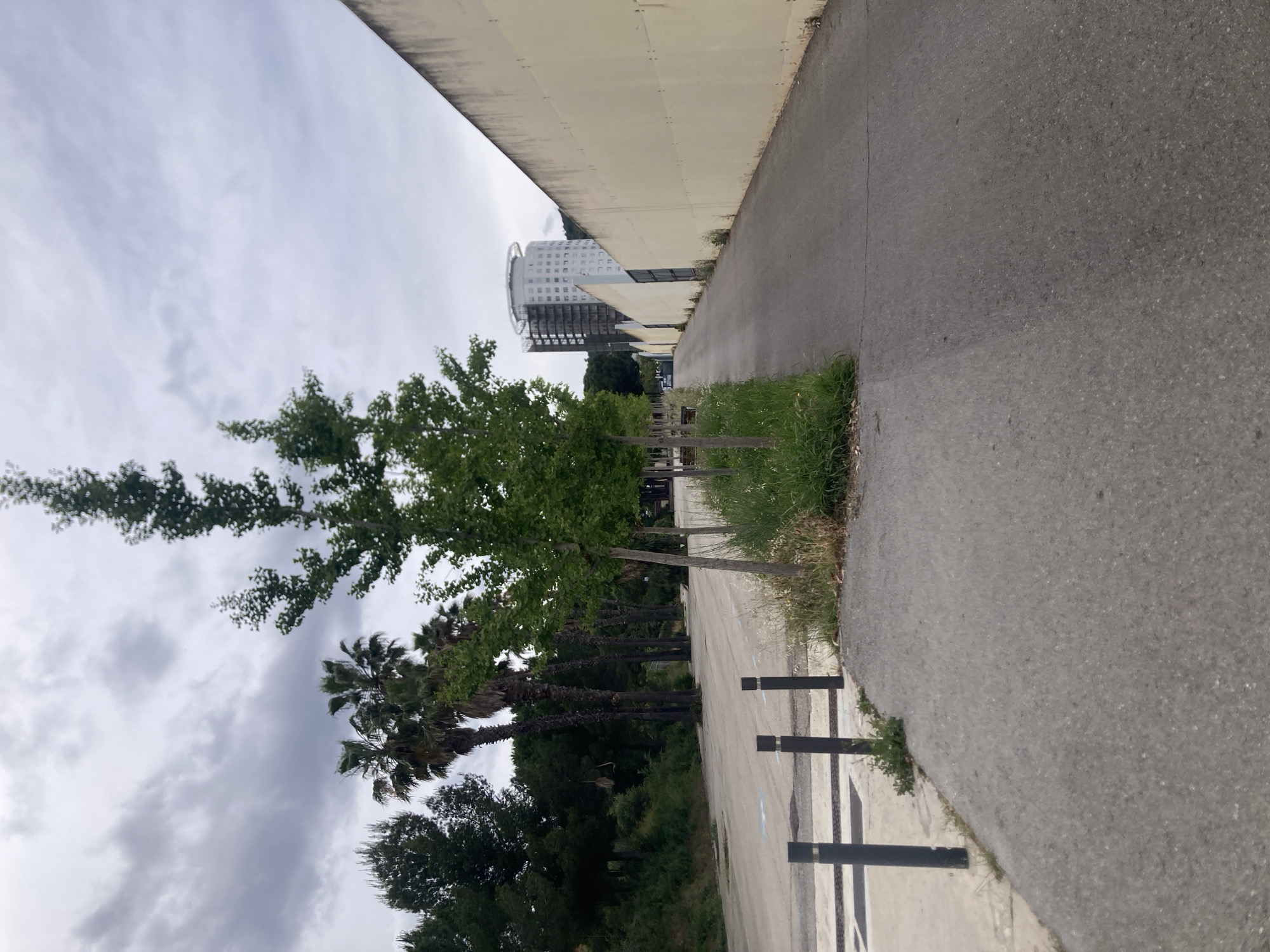 The image shows a view of a paved path alongside a tall, light-colored wall. A row of trees, including palm trees, lines the path, with denser vegetation further back. A tall, cylindrical building is visible in the background. Black bollards are present along the edge of the path. The sky is overcast. The location is likely Barcelona, Spain, based on the architectural style and vegetation. There are no people visible in the image.