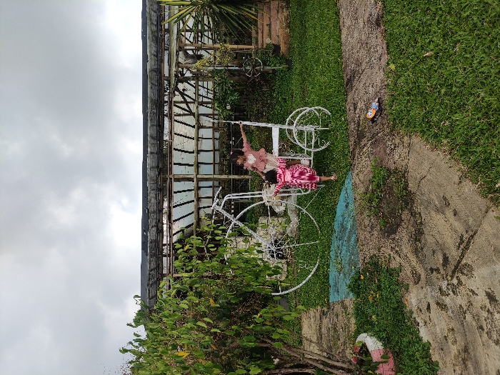 The image shows two young girls standing next to a white, decorative bicycle in a garden in Kecamatan Pujon, Indonesia. The girls are both wearing pink dresses. One of the girls is holding onto the bicycle, while the other is looking at the camera. The bicycle is made of metal and has a large white wheel on the right side. The ground is made of dirt and grass. There is a small, blue-colored patch of dirt in front of the bicycle. The background shows a wooden and glass greenhouse structure. The sky is overcast with clouds. The girls are looking at the camera. The scene is from a public park. A pair of flip-flops lie on the ground in the foreground.