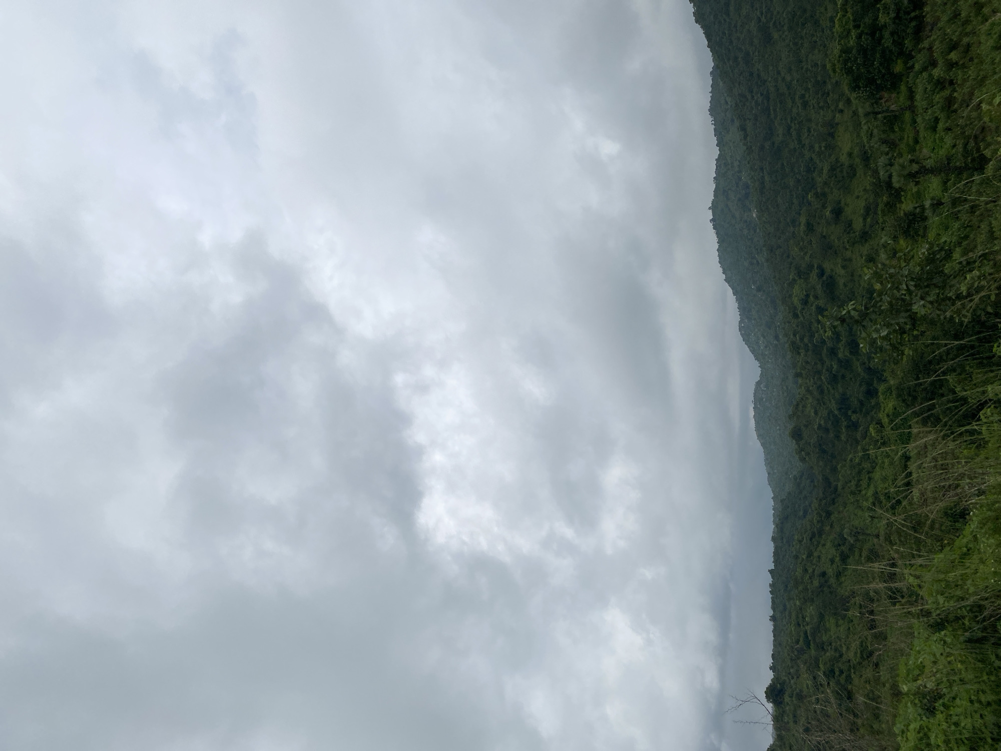 The image depicts a lush, green, hilly landscape under a cloudy, overcast sky. Tall grasses and vegetation are in the foreground, leading to rolling hills covered in dense trees and foliage. The distant hills recede into a hazy, muted green. The sky is filled with heavy, grey clouds, suggesting a possibility of rain or a dull day. There are no people or man-made structures visible in the image. This scene is consistent with the natural environment found in Assob Hausa, Nigeria, a region known for its hilly terrain and vegetation.