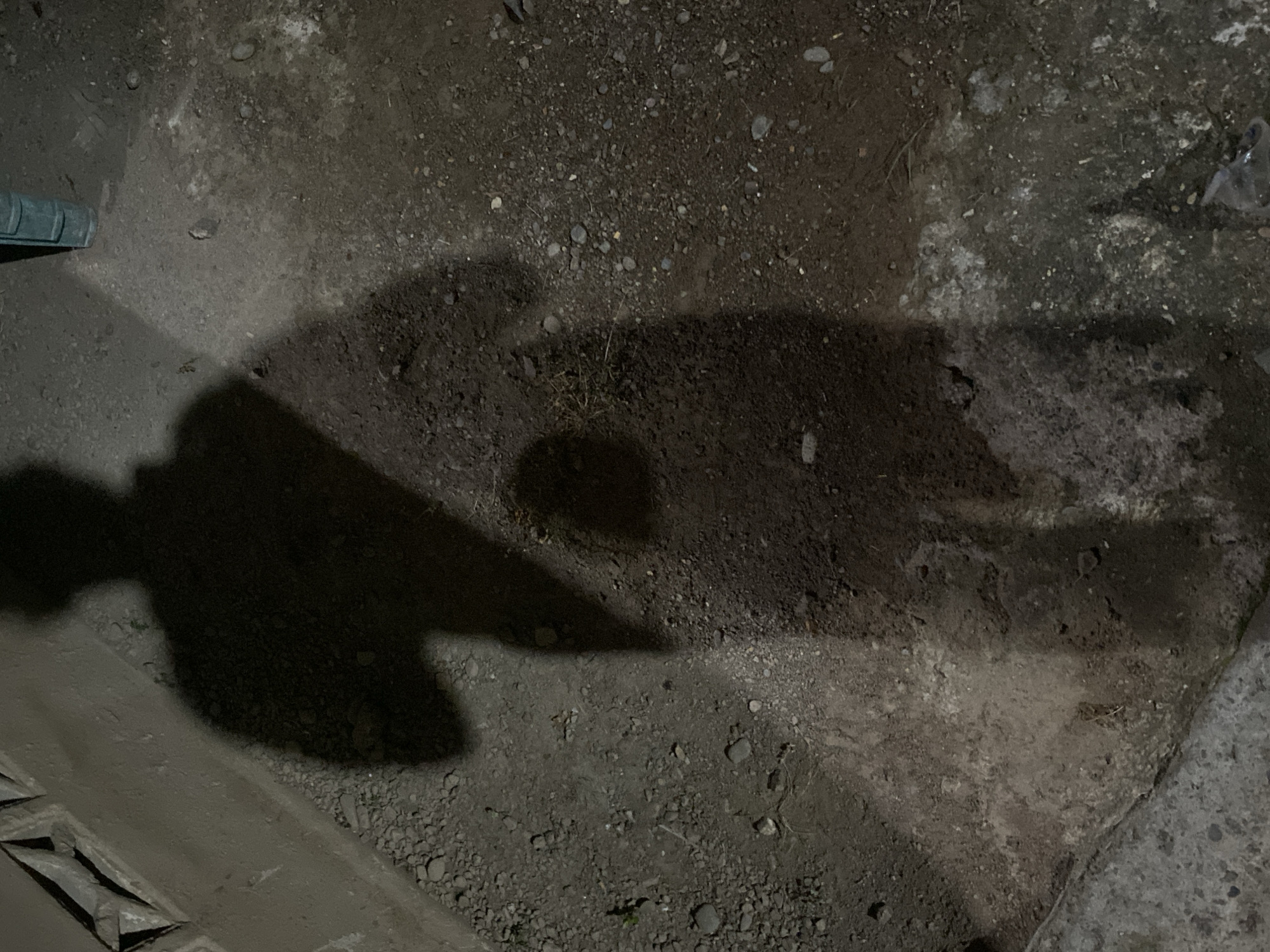 A shadow of a person is cast on the ground. The ground is dirt and gravel, with some small rocks scattered about. There is a concrete ledge on the left side of the image. The lighting suggests it is nighttime or a very dimly lit area. A dark, cylindrical object, possibly a pipe or a part of a structure, is visible in the upper right corner. The shadow appears to be of a single individual, with a defined head, torso, and legs. The exact location within the city is unknown.