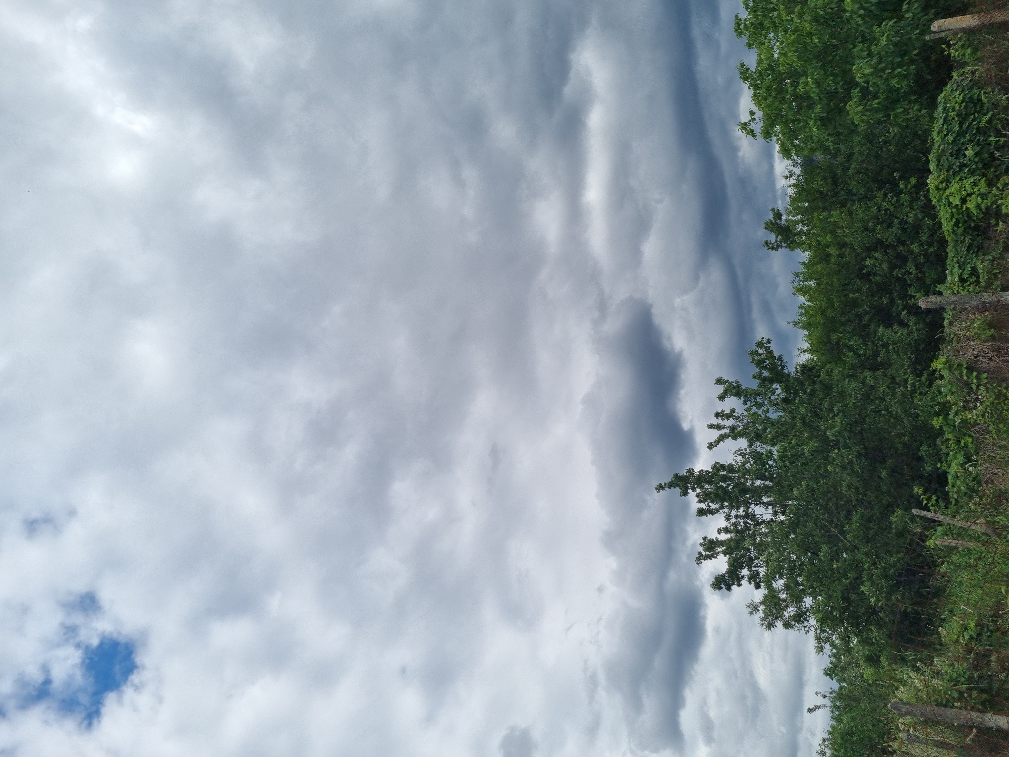 The image depicts a landscape scene with a cloudy sky and lush green foliage. In the upper portion of the image, a patch of blue sky is visible amidst a mass of grey and white clouds, suggesting an overcast or partly cloudy day. The lower portion of the image is dominated by a dense layer of green trees and vegetation, indicating a natural or rural environment. Some fence posts are visible in the foreground, hinting at a boundary or a cultivated area. The scene appears to be set outdoors, with no human presence or specific urban structures visible. The overall impression is one of natural scenery under a dynamic sky. The provided location details are for Dabravka, Bulgaria, however, there is no visual information in the image to confirm this specific location.