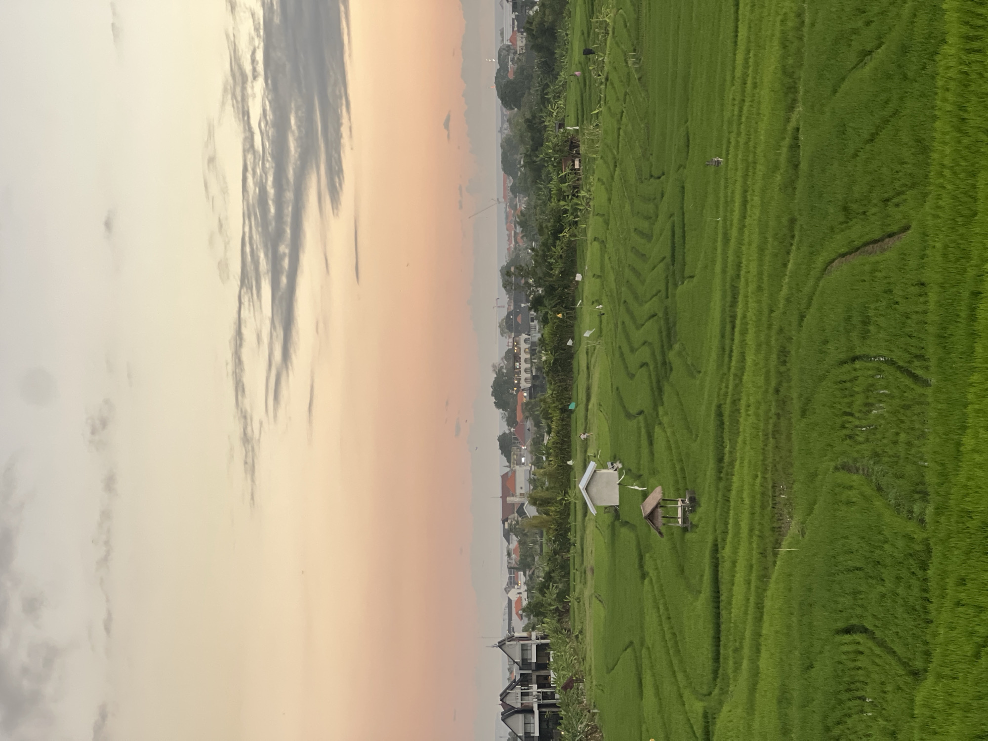 An aerial view captures the lush green rice terraces of North Kuta, Indonesia, during a soft sunset. The sky is a gradient of pale orange and pink, with streaks of gray clouds. In the distance, a collection of modern homes with dark roofs and white walls are nestled amongst trees. The foreground is dominated by the vibrant green rice paddies, meticulously carved into terraces that create a rhythmic pattern across the landscape. Small, rustic huts dot the fields, one with a thatched roof and wooden supports, serving as shelters or resting spots. A few small white flags are scattered throughout the terraces, likely to deter birds. The overall impression is one of serene agricultural beauty juxtaposed with encroaching modernity.