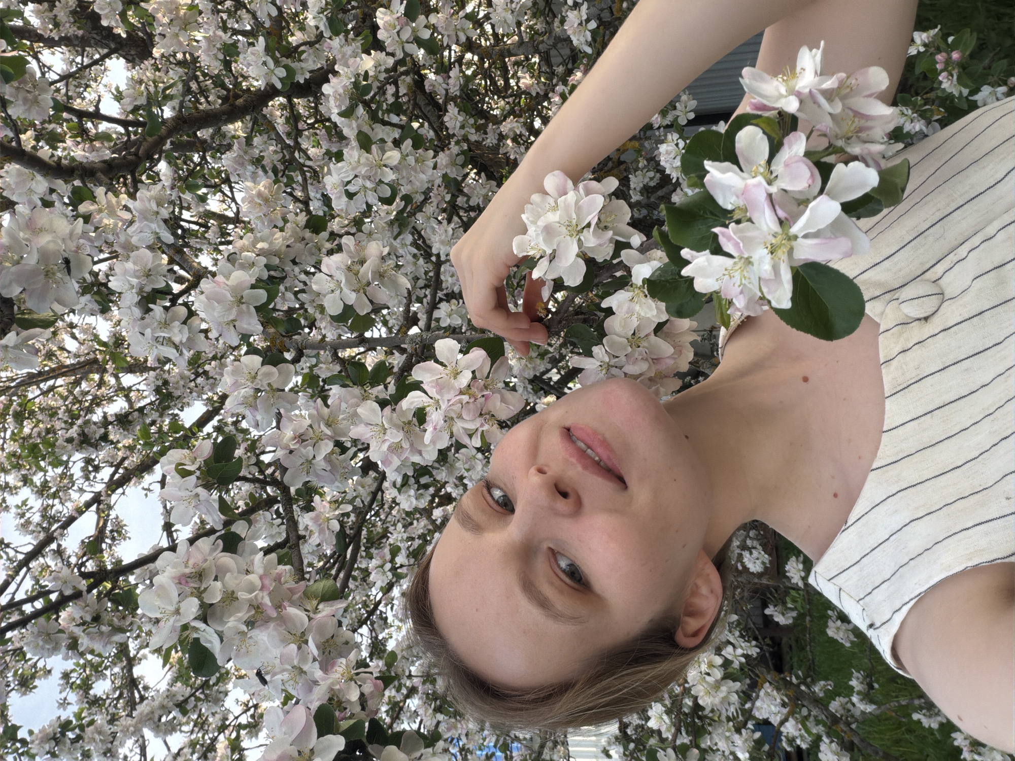 A person is holding a cluster of white and pink flowers in front of a tree heavily laden with similar blossoms. The person is fair-skinned, with blonde hair, and is wearing a striped shirt. The background is filled with the profusion of white and pink flowers against a blue sky. The location is Кадряково, Russia.