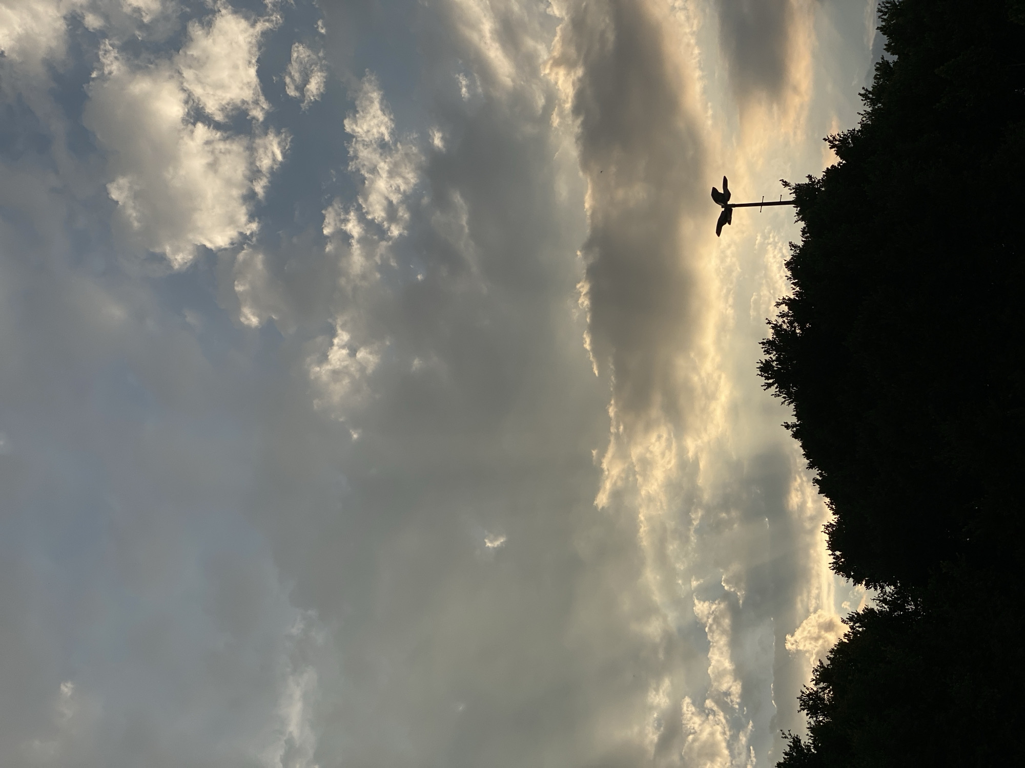 The image shows a cloudy sky with sunlight streaming through the clouds. A silhouette of trees and a weather vane with two birds on top are visible on the right side of the image. The location is Unknown, Unknown.