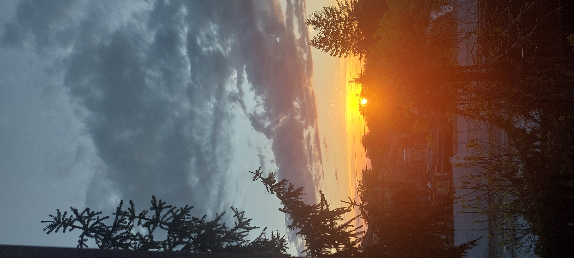 The image depicts a sunset scene, likely taken from an elevated position, potentially a building, near Yagodovo, Bulgaria. In the foreground, evergreen trees are visible, silhouetted against the sky. The sky features a dramatic contrast between dark, heavy clouds on the left and a bright, orange-yellow sunset on the right. The sun is a visible, bright orb, partially obscured by the horizon. Below the sunset, indistinct shapes suggest buildings and other structures, partially hidden by trees and foliage, hinting at a residential or semi-urban area. The overall composition emphasizes the sky and sunset as the primary subjects, with the surrounding environment serving as a framing element. The image is rotated 90 degrees counterclockwise.