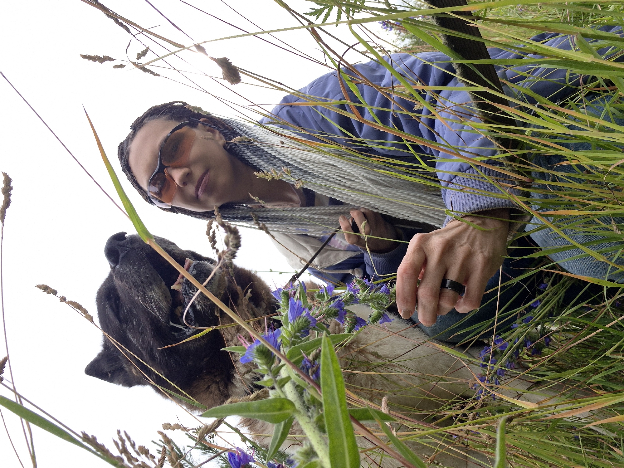 A low-angle shot captures a woman and a dog amidst tall grass. The woman, with long, light-colored braids and sunglasses, leans in towards the dog. She is wearing a blue jacket and jeans. Her right hand, adorned with a black ring, gently holds a small bunch of purple flowers. The dog, appearing to be a large breed with dark and light fur, has its head tilted and tongue slightly out, looking towards the flowers. The scene is set outdoors, suggested by the abundant grass and natural light, which appears to be daytime given the brightness and lack of shadows. The overall mood seems peaceful and intimate, with the woman and dog sharing a quiet moment in nature. There is no visible text in the image.