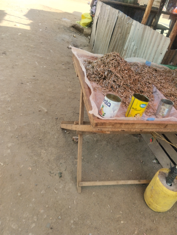 The scene depicts a market stall situated on an unpaved, light brown-grey dirt ground in Witeithie ward, Kenya. A wooden table, draped with a light-colored fabric sheet, holds a substantial mound of dried small fish. Positioned on the table are three metal cans: a white can displaying "FIESTA" and fruit graphics, a yellow can marked "ROYCO CUBES," and a plain silver-colored can. The ground is uneven, scattered with small stones and debris. In the background, a structure composed of corrugated metal sheets supported by wooden posts is visible. To the far left, indistinct yellow objects, possibly sacks, are present. In the lower right foreground, a yellow plastic container, appearing repurposed, rests on the ground with a dark, upright object secured within it. No individuals are directly visible in the immediate foreground or midground.