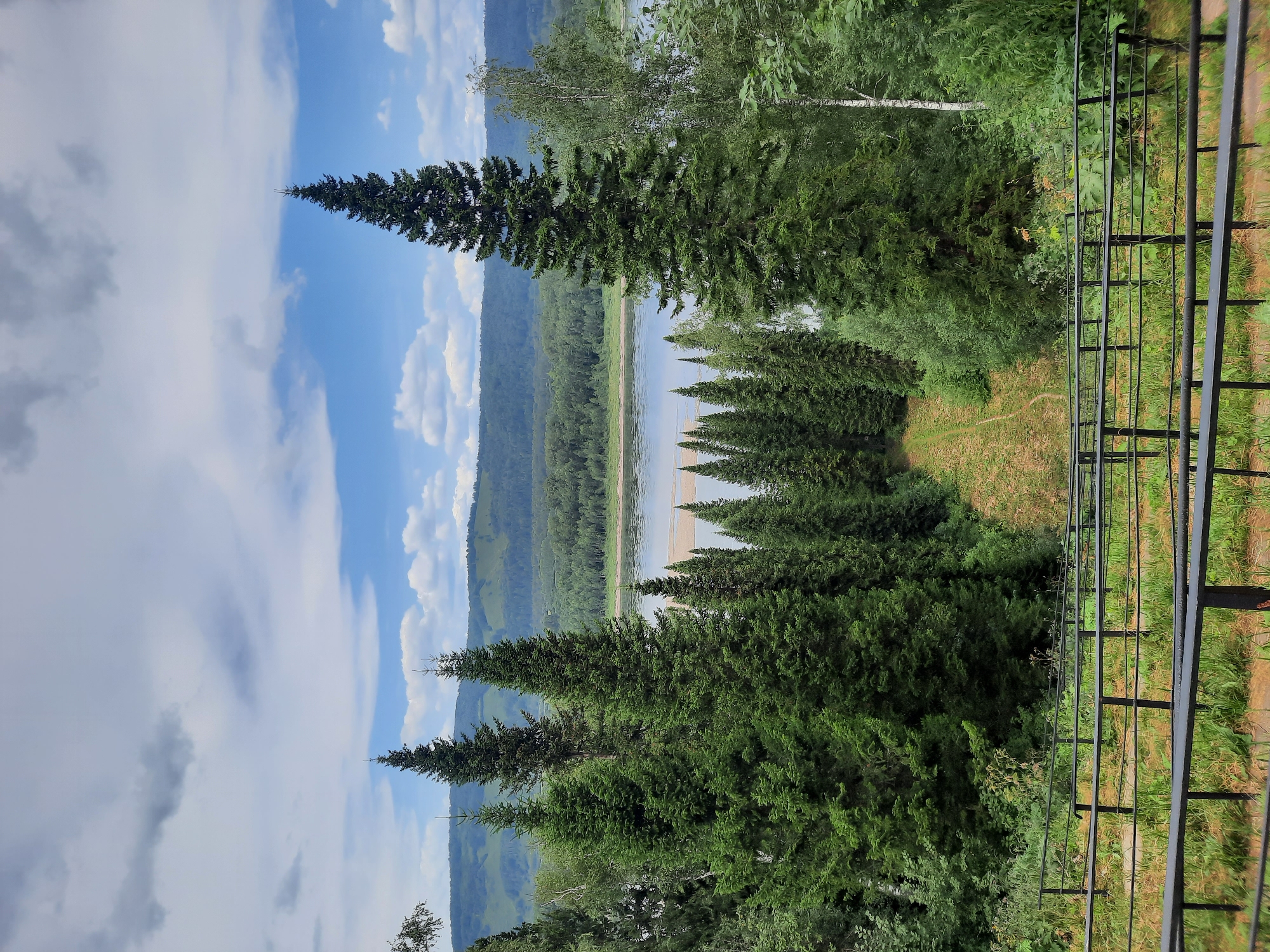 The image depicts a panoramic view of a lush, forested landscape with a wide river flowing through it. In the foreground, a black metal railing runs horizontally across the frame, separating the viewer from a grassy slope with a dirt path winding upwards. Several tall, dark green coniferous trees dominate the midground, interspersed with lighter green deciduous trees and bushes. The river is visible in the distance, with a sandy bank and a densely forested opposite shore. Beyond the river, rolling green hills stretch towards the horizon, under a sky filled with a mix of white and gray clouds against a bright blue background. The scene appears to be a natural landscape in a temperate climate, likely during the daytime. There are no people or animals visible in the image. The location is identified as Зеленогорский, Russia.