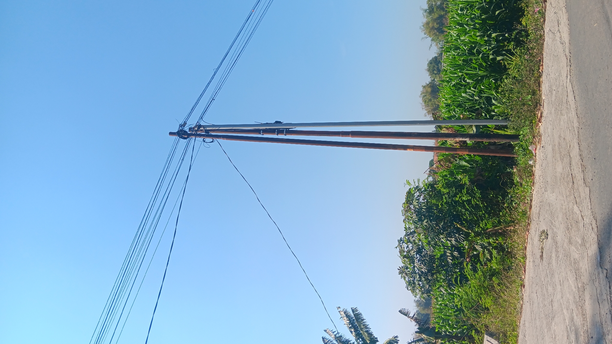 The image captures a bright, sunny day with a clear blue sky in Gemenggeng, Indonesia. A utility pole, constructed from what appears to be two thick, rusty wooden poles and one lighter pole, stands prominently in the foreground. Numerous dark electrical wires are strung between the poles and extend across the frame. To the left of the utility pole, lush green foliage, including what looks like banana trees and other dense vegetation, is visible. To the right, a field of mature corn stalks stretches into the distance. A paved road or pathway occupies the bottom portion of the image, with some debris scattered along its edge. The overall scene depicts a rural or semi-rural setting in Indonesia.