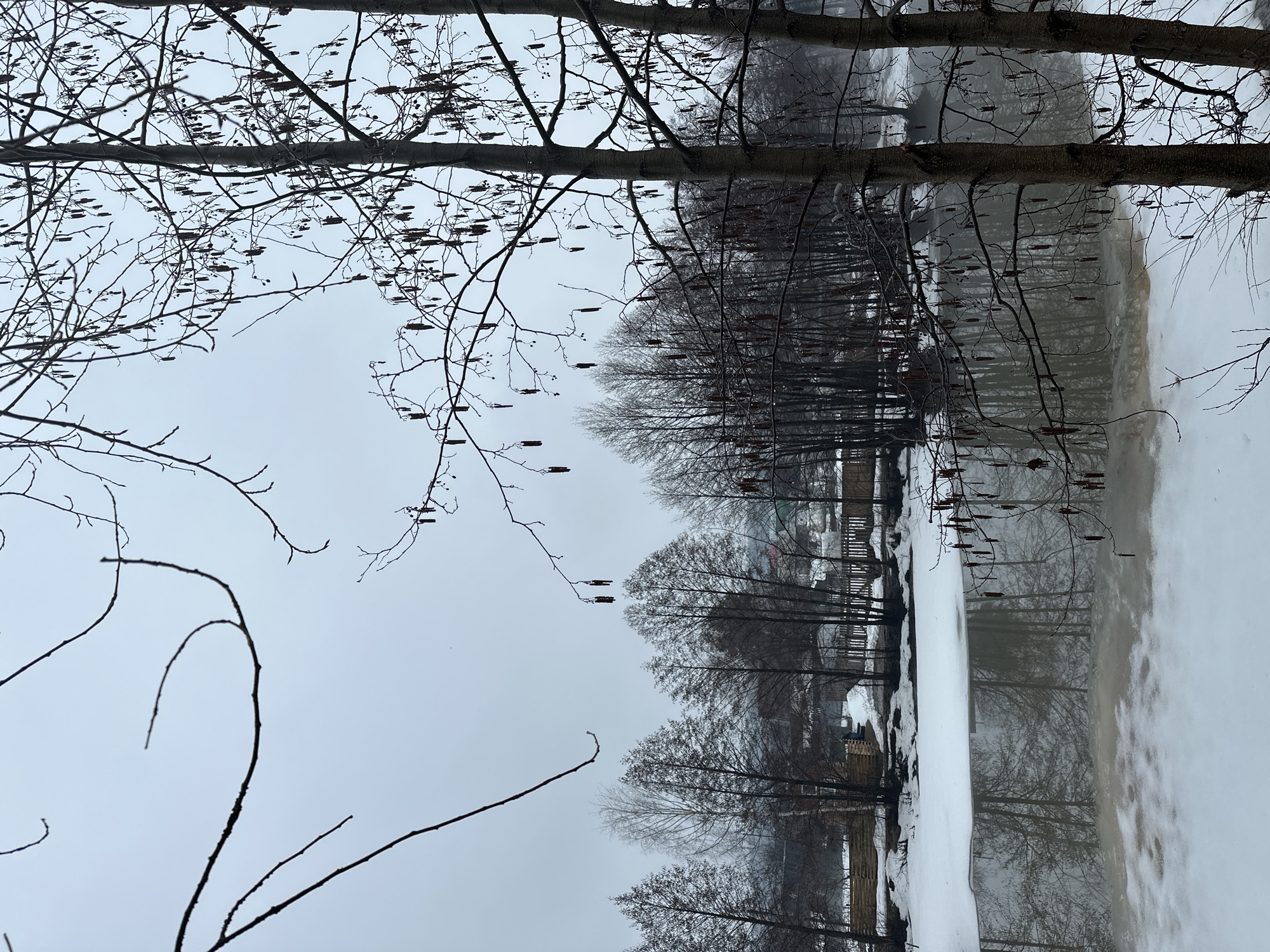 The image depicts a winter scene in what appears to be a park or wooded area, possibly in or near the city of Chaikovsky, Russia. A body of water, likely a pond or small lake, is partially frozen, with ice and snow covering portions of the surface. The water's surface reflects the surrounding trees and sky, creating a mirrored effect. The sky is overcast and gray, indicating a cold or snowy day. Bare trees dominate the landscape, with their branches silhouetted against the sky. Some of the trees appear to be birch or alder, based on the presence of catkins. A wooden fence is visible along the edge of the water. Snow covers the ground, adding to the wintry atmosphere. No people are visible in the image.