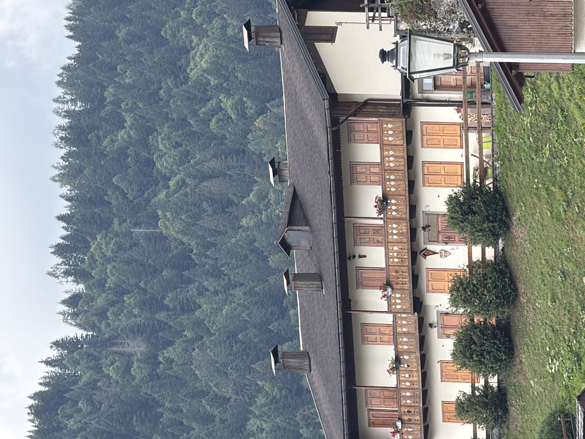 A multi-story building with a dark pitched roof and light-colored walls is situated on a grassy slope in Sauris di Sopra / Plozn / Sauris Disore, Italy. The building features wooden balconies with decorative railings on the upper levels and multiple wooden-shuttered windows. Several chimneys with wooden cladding rise from the roof. In front of the building, a row of manicured evergreen bushes lines the lower level. A street lamp with a black metal frame and glass panels stands to the right of the building. The background is dominated by a dense forest of evergreen trees covering a mountain slope under a cloudy sky.
