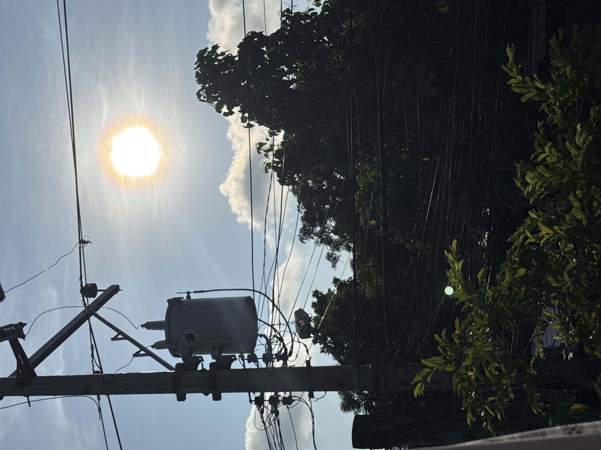 The image shows an outdoor scene in Davao City, Philippines, on a sunny day. The view is looking up at a utility pole with a transformer and electrical wires against a blue sky with the sun visible. Fluffy white clouds are scattered around the sun. A large, densely foliaged tree stands to the right of the pole and its wires. The branches and leaves are green and shadowed. The composition is vertically oriented.