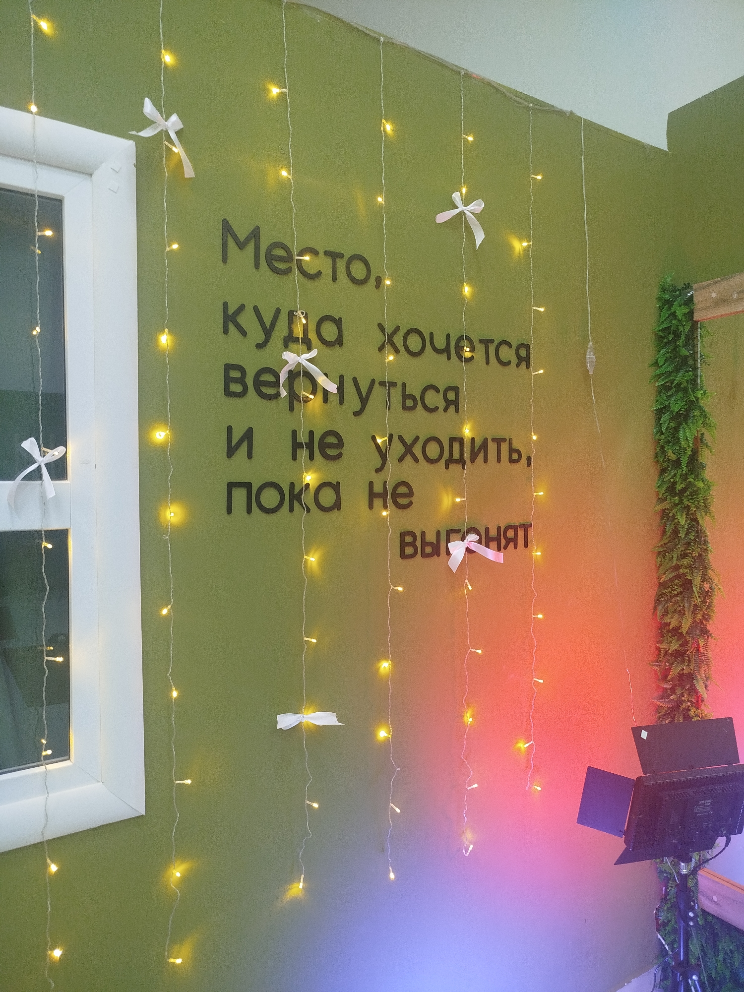 A dimly lit room with a green painted wall features a string of yellow LED lights draped vertically, adorned with small white bows. On the wall, black, three-dimensional letters spell out a Russian phrase: "Место, куда хочется вернуться и не уходить, пока не выгонят" (A place where one wants to return and not leave, until they are kicked out). To the left, a white window frame is visible, and to the right, a vertical arrangement of green artificial plants is mounted, alongside a studio light on a tripod, casting a gradient of red and purple light across the wall.