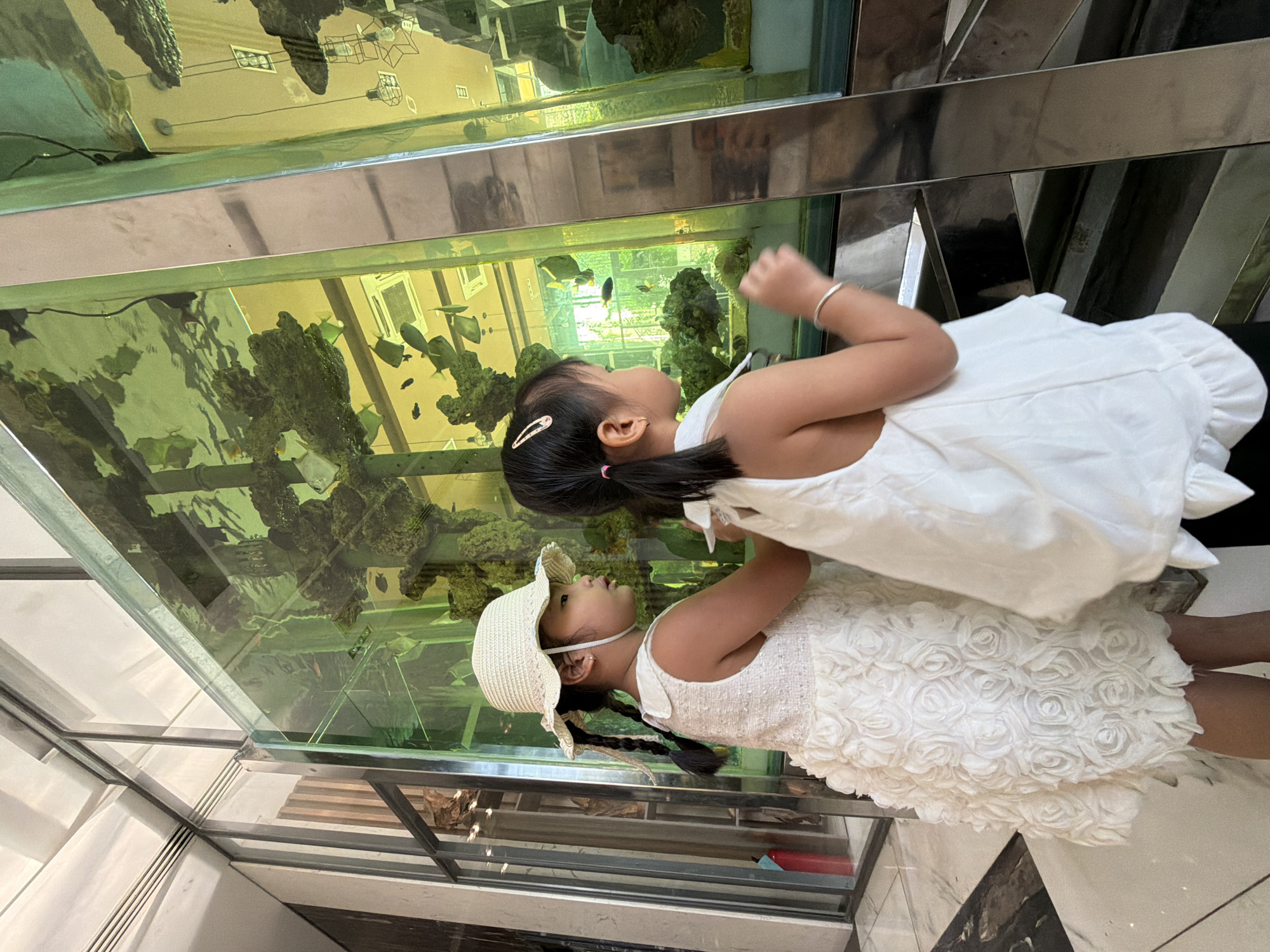 Two young girls, one wearing a white straw hat and a dress adorned with rose appliques, and the other in a white top, are observing a large aquarium. The aquarium contains various fish and rocky structures. The setting appears to be an indoor space with large glass windows and metallic frames, possibly a public building or a restaurant in Nha Trang, Vietnam, given the presence of tropical fish and a modern architectural style.