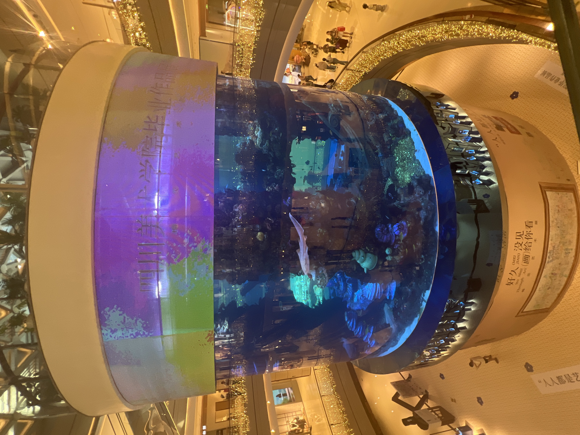 In the city of Liangjiang, China, a large, cylindrical aquarium is the central feature of a multi-level atrium. The aquarium is filled with water and displays various aquatic life, including fish and coral. It is illuminated with blue and green lights, creating an underwater ambiance.
Above the aquarium, a large, circular screen displays abstract patterns of purple and green light, with Chinese characters visible in some sections. These characters appear to indicate a graduation exhibition.
Surrounding the aquarium are several levels of a shopping mall or public space, with balconies and walkways overlooking the central display. The balconies are adorned with strings of golden fairy lights, which cast a warm glow on the scene.
People are visible on various levels of the atrium, some walking along the balconies and others gathered around the base of the aquarium. They are casually dressed and appear to be engaged in activities typical of a shopping mall or public gathering space.
At the base of the aquarium, a display panel features more Chinese text and images, suggesting information about the exhibition or the aquatic life within. The floor of the atrium is covered in a patterned carpet.
The overall impression is one of a vibrant and engaging public space, likely designed to attract visitors and provide an interesting visual experience. The combination of the aquarium, the digital display, and the festive lighting creates a dynamic and modern atmosphere.