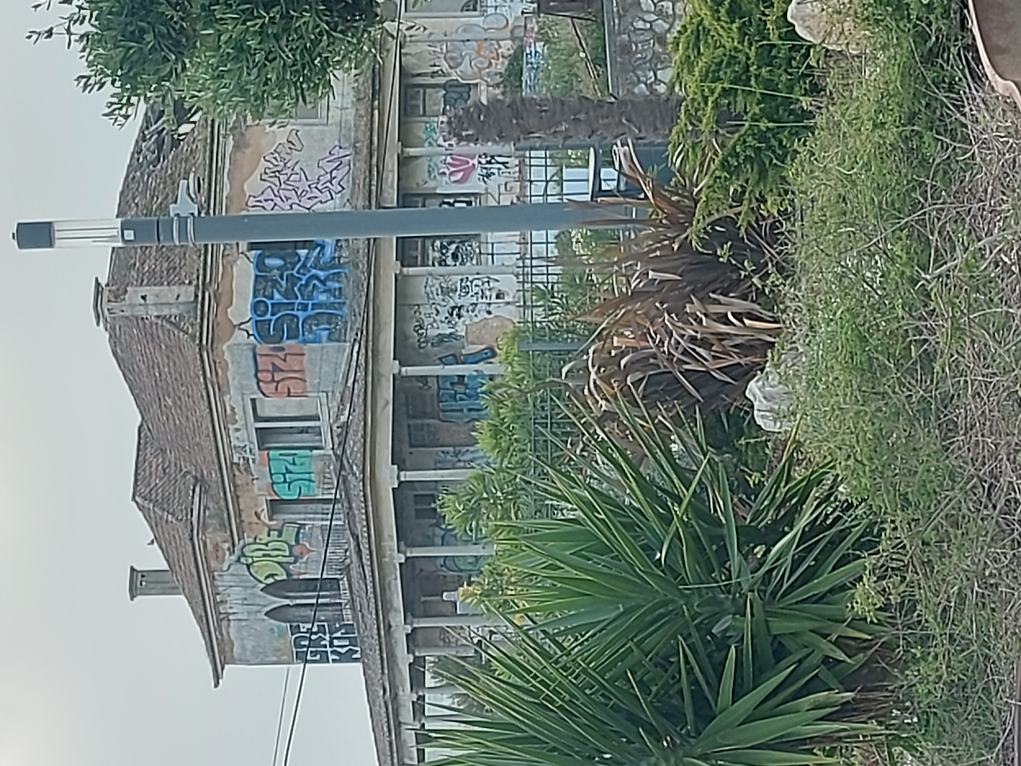A multi-story building in Cascais, Portugal, exhibits significant decay, with extensive graffiti covering its facade. The architecture includes arched windows, a tiled roof, and a colonnaded porch, now in disrepair. Vegetation, including palm trees and yucca plants, grows around the building. A modern light post stands in front of the structure. No people are visible.