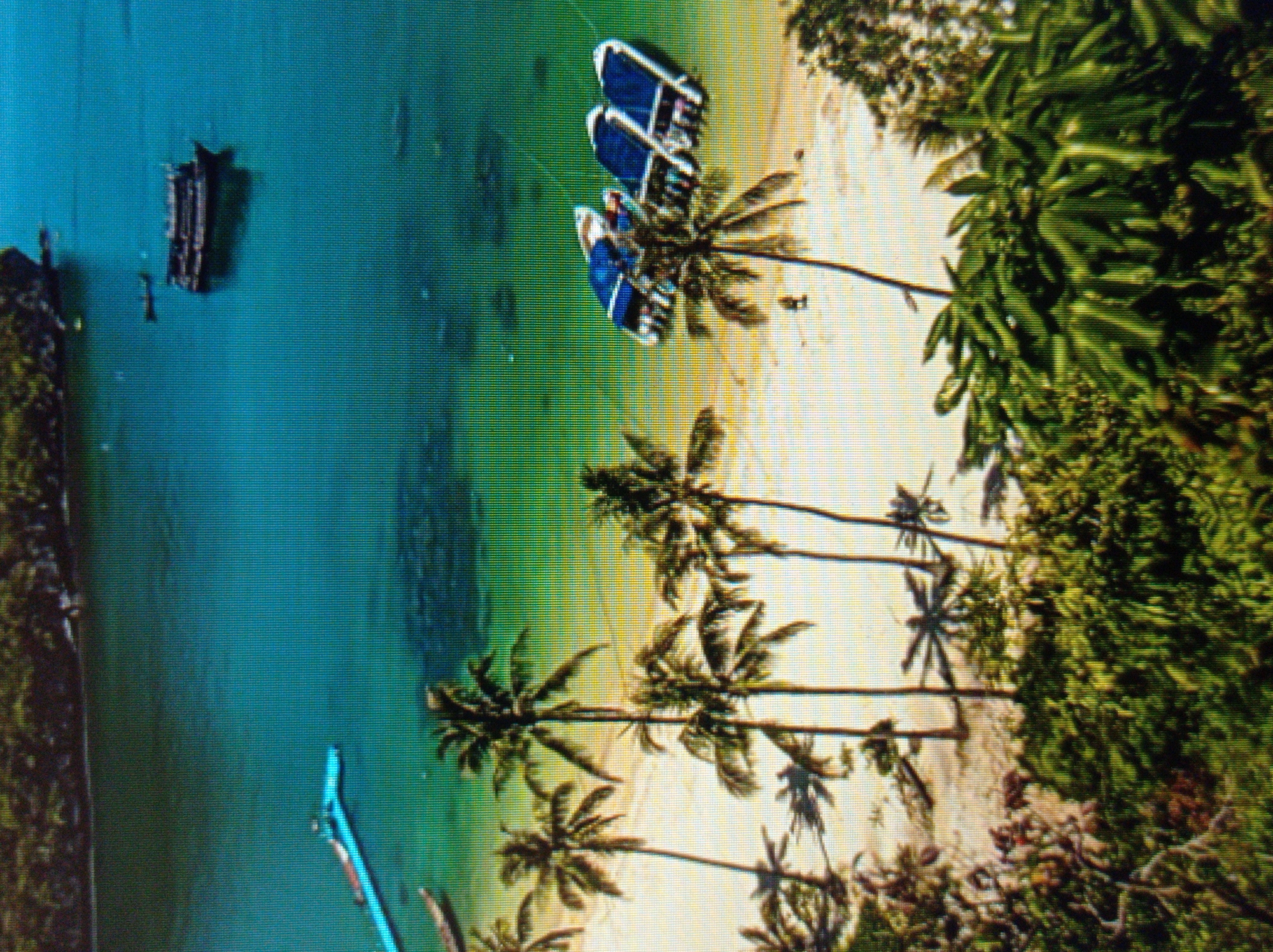 An aerial view captures a tropical beach scene. The turquoise water gradually transitions to a lighter green near the shore, where white sand is visible. Several palm trees are scattered across the beach, casting shadows on the sand.
In the water, a long, light blue pontoon or walkway extends from the shore. Further out, a dark-colored boat with multiple decks is anchored. Closer to the shore, three speedboats, each with blue pontoons, are lined up.
The background features a dense green forest covering a rocky island. The foreground is dominated by lush green foliage. This scene is not located in Mukachevo, Ukraine, but rather depicts a tropical island setting.