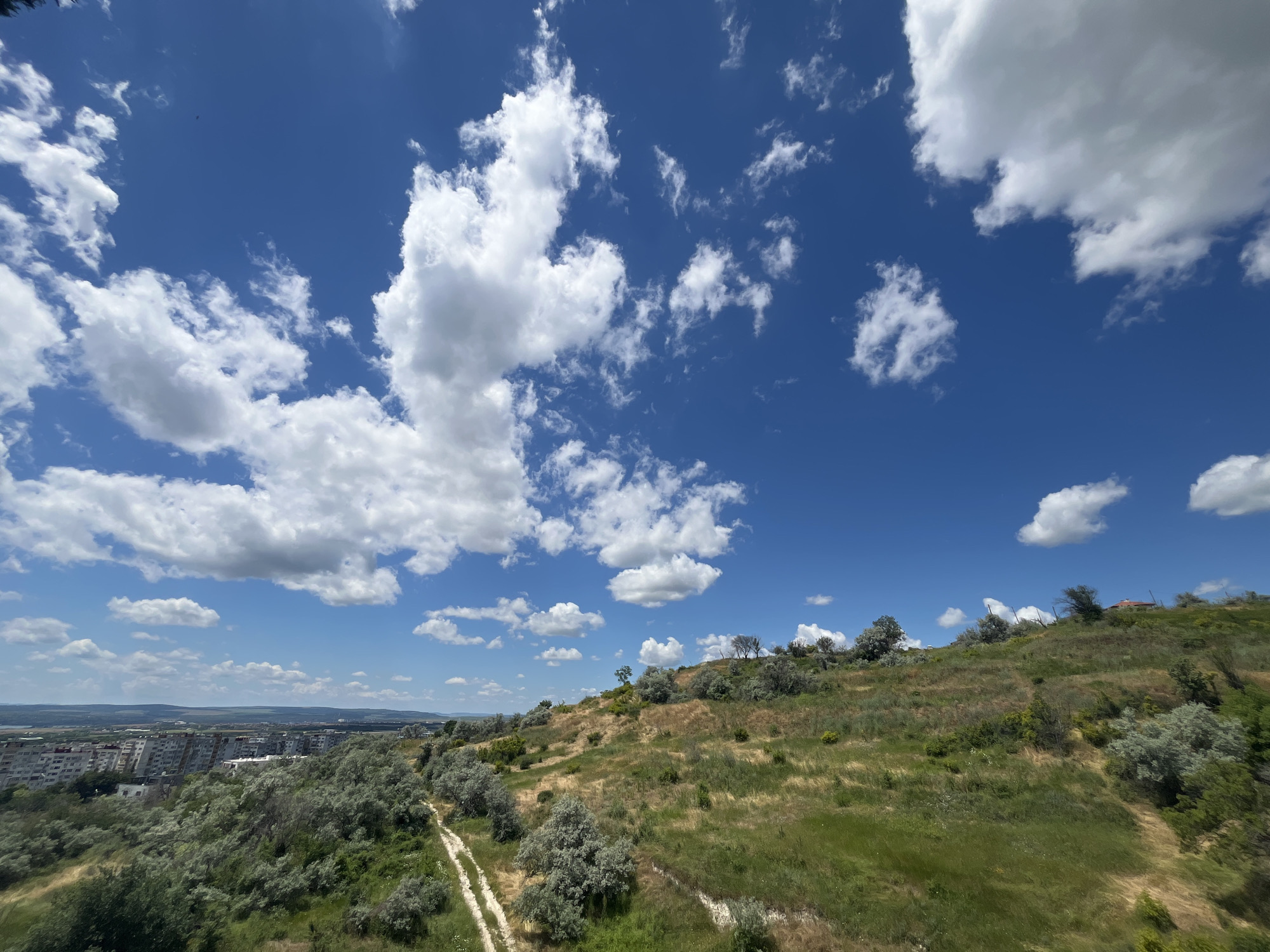 This is a landscape photograph taken in the city of Varna, Bulgaria, likely from a higher vantage point overlooking a natural area transitioning into an urban setting. The scene is dominated by a bright blue sky filled with scattered white cumulus clouds.
In the foreground and midground, a grassy, undulating hillside is covered with green and dry vegetation, interspersed with scattered bushes and trees with silvery-green foliage. A dirt path winds its way up the hillside. The vegetation appears somewhat wild and natural, with areas of dry grass suggesting a sunny, possibly dry period.
In the background, to the left, an urban area with multi-story apartment buildings is visible. The buildings are concrete structures, typical of Soviet-era architecture. Beyond the immediate urban area, a hazy landscape of hills and a body of water (likely the Black Sea) stretches towards the horizon.
The image captures a contrast between the natural environment of the hillside and the built environment of the city. The lighting suggests it is daytime, with bright sunlight casting shadows, highlighting the textures of the land and clouds. There are no people or animals visible in the image. The overall impression is one of a warm, clear day.