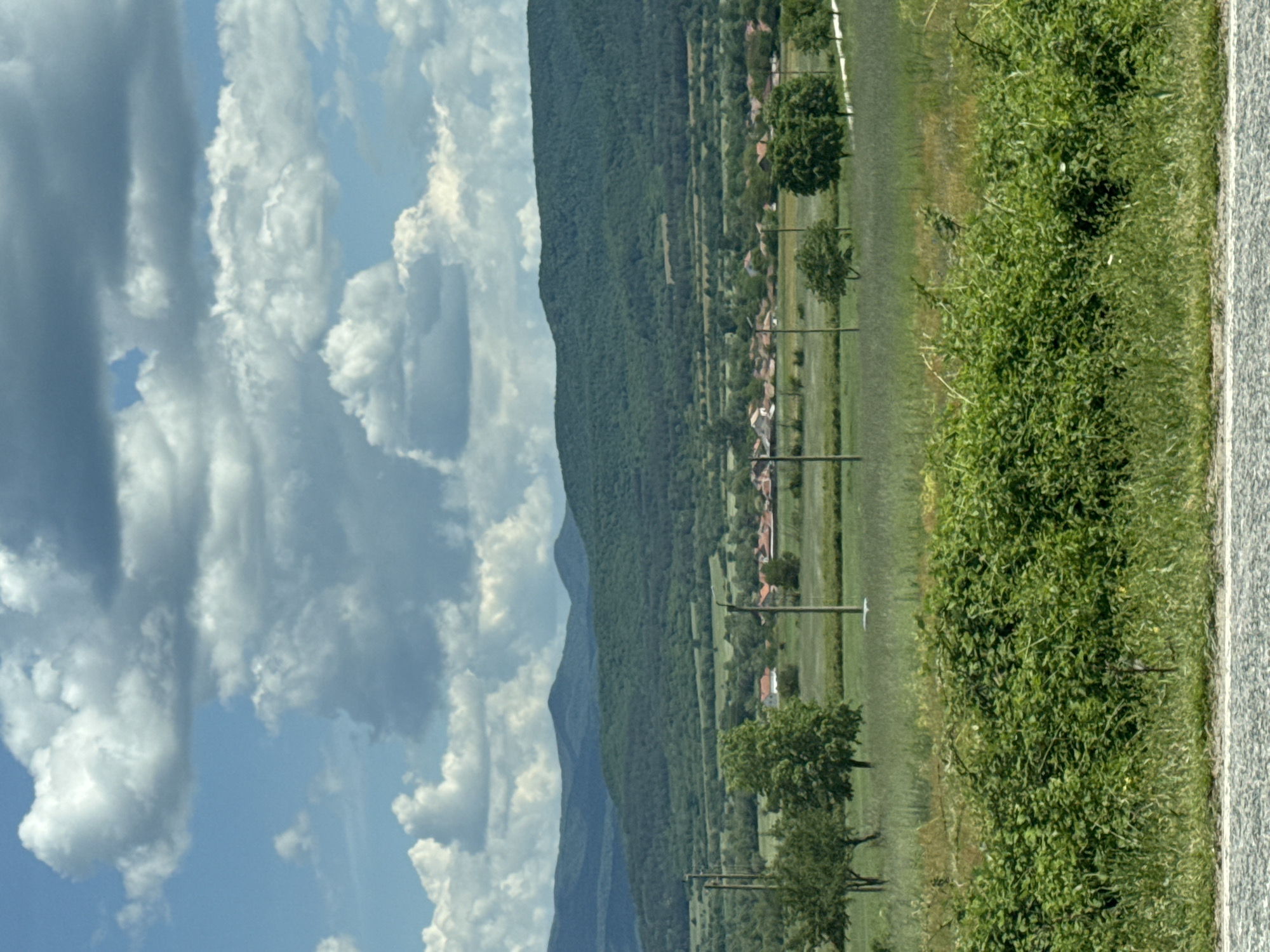 The image presents a landscape with several distinct elements. In the foreground, dense green foliage lines the edge of what appears to be a road or path with a gray surface. Beyond this, a grassy field extends towards a line of utility poles interspersed with trees. Further in the distance, a small village or town is visible, with buildings having red roofs. Dominating the left side of the image are a series of mountains covered in green vegetation, forming a natural backdrop. The sky above is filled with fluffy white clouds against a backdrop of blue sky. The location and specific details of the city are not determinable from the given image.